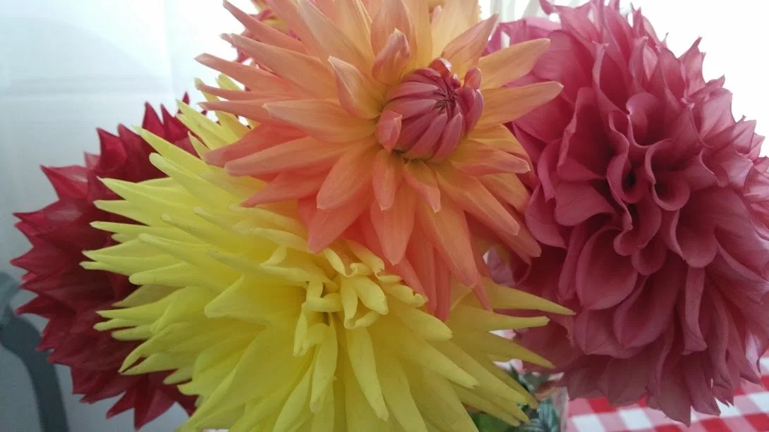 20150328_093542.jpg