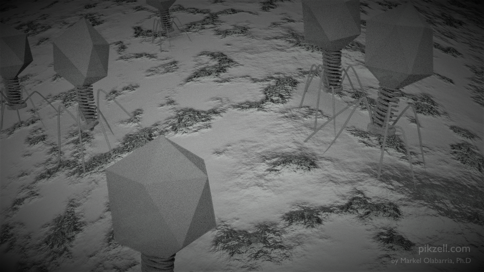 Virus flat 13a HD edit WATER MARK..png