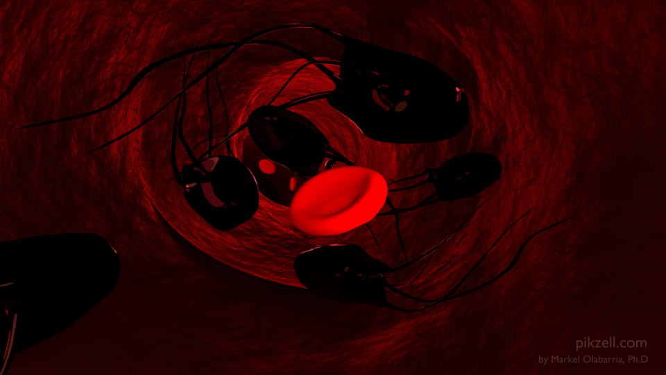 Blood Vessel NA 1_edit WATER MARK..png