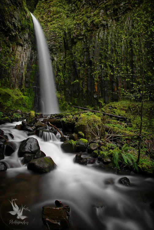 Dry Creek Falls