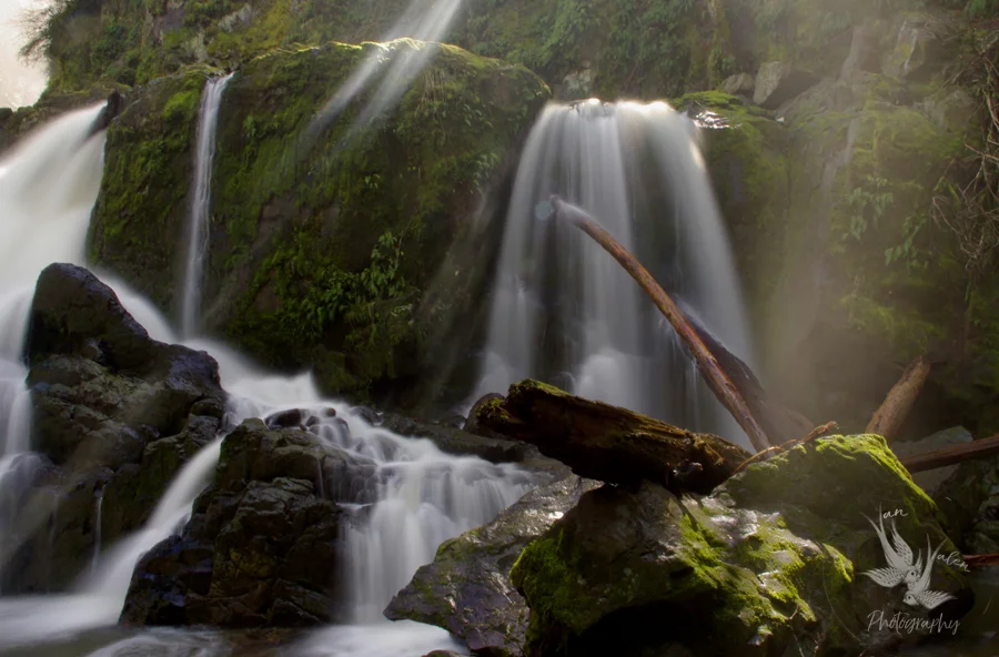 Lower Mashel Falls