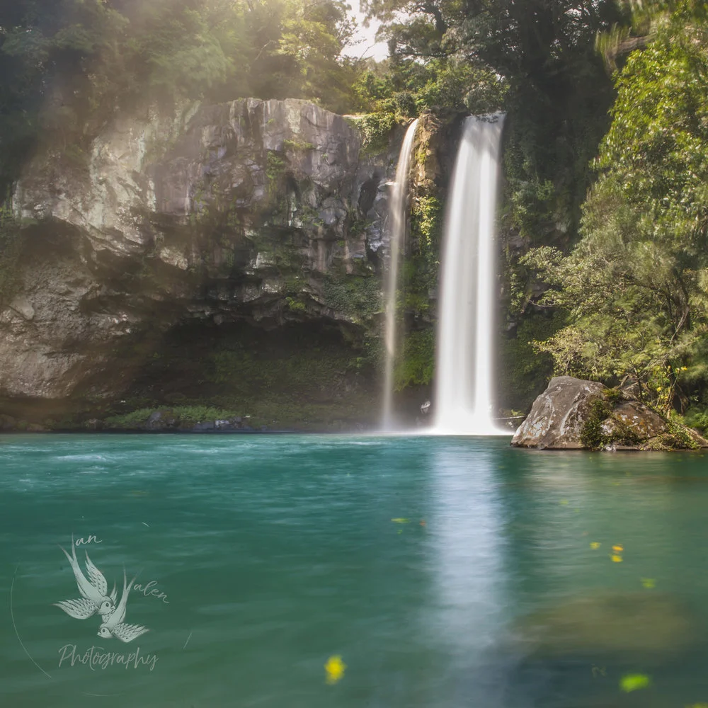cheonjiyeon-falls-jeju-do-korea.jpeg