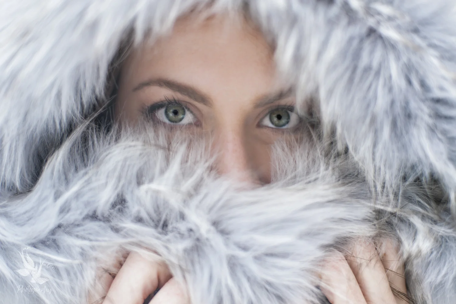 snowbunny