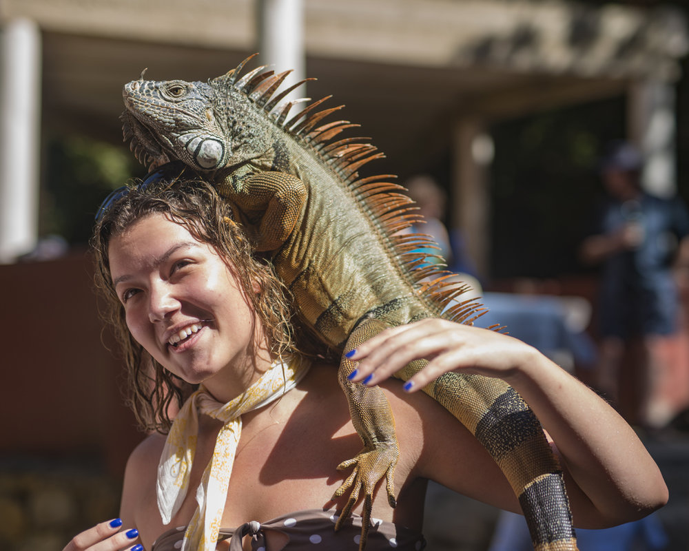 requisite photos with an iguana in Yelapa