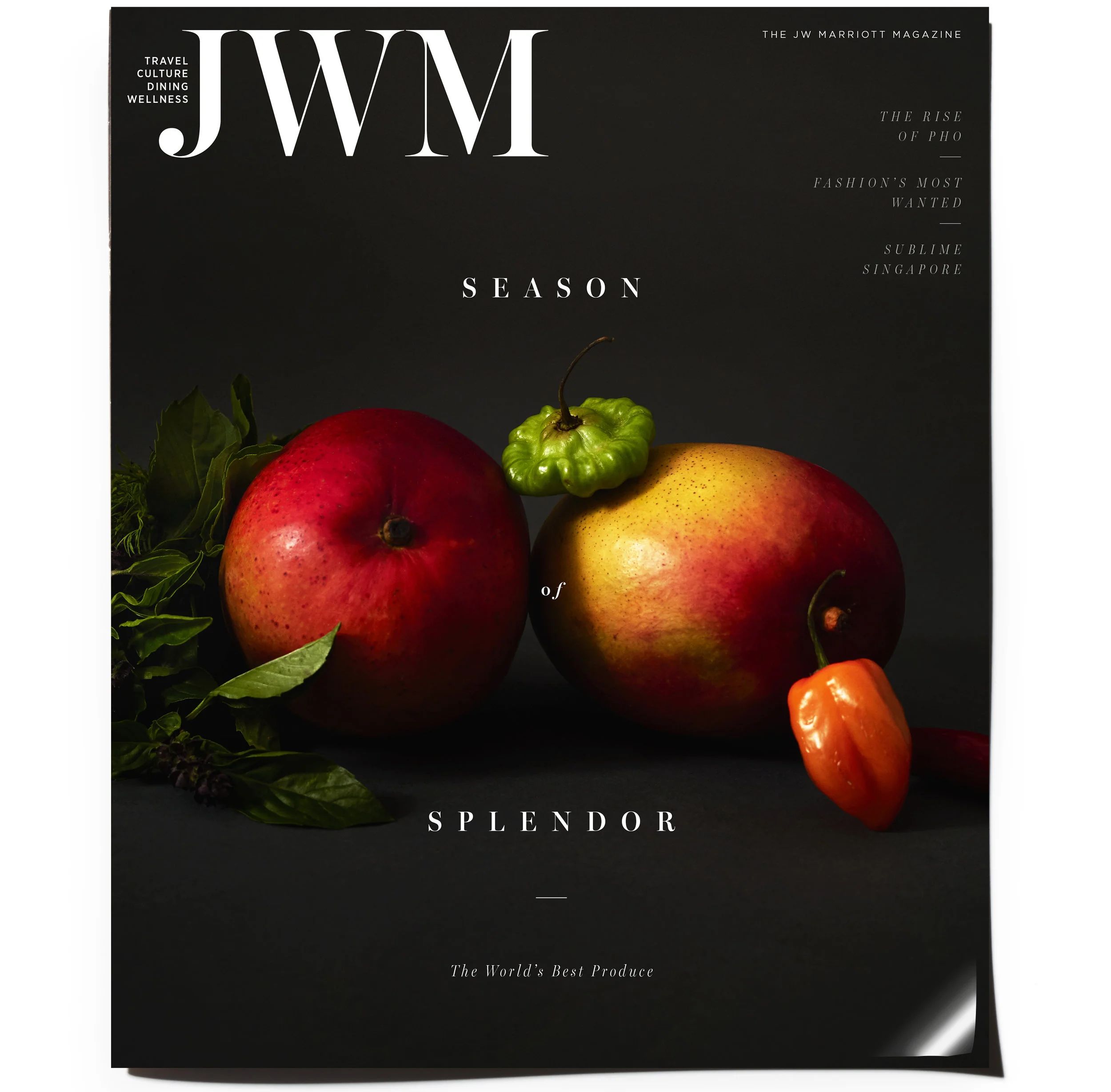 JWM+cover.jpg