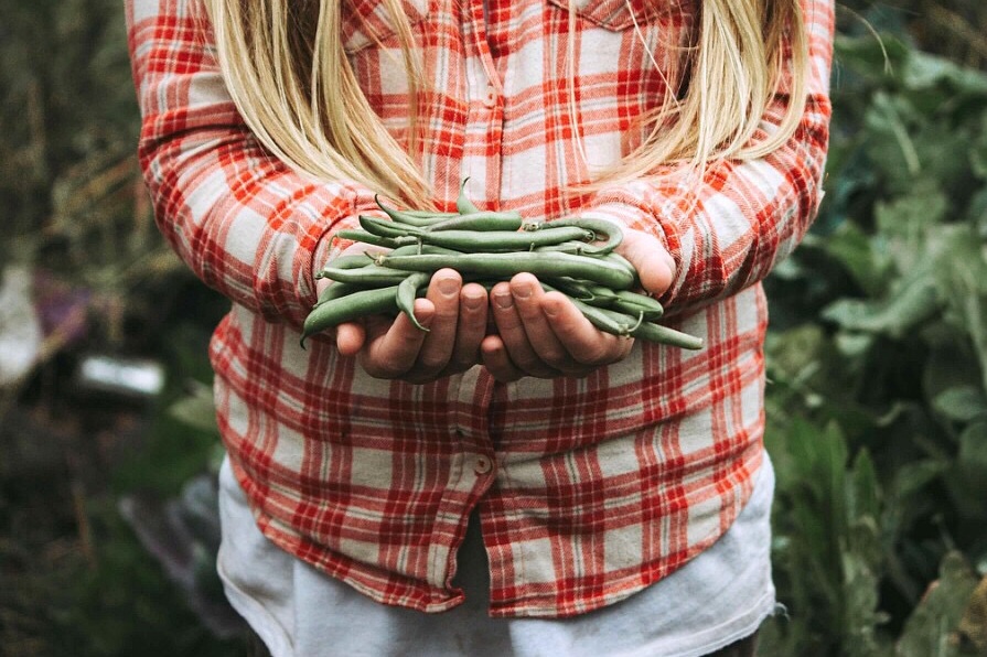 Farming in the Age of Disrupted Food