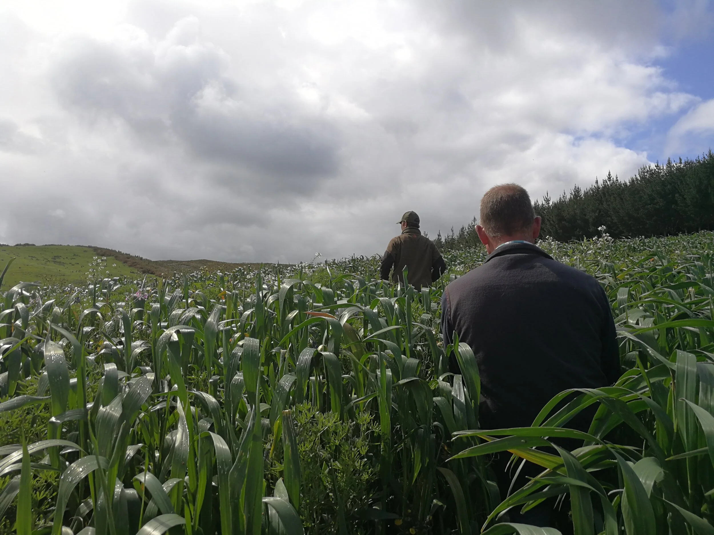Our Farmers are Hurting. Time to Change.