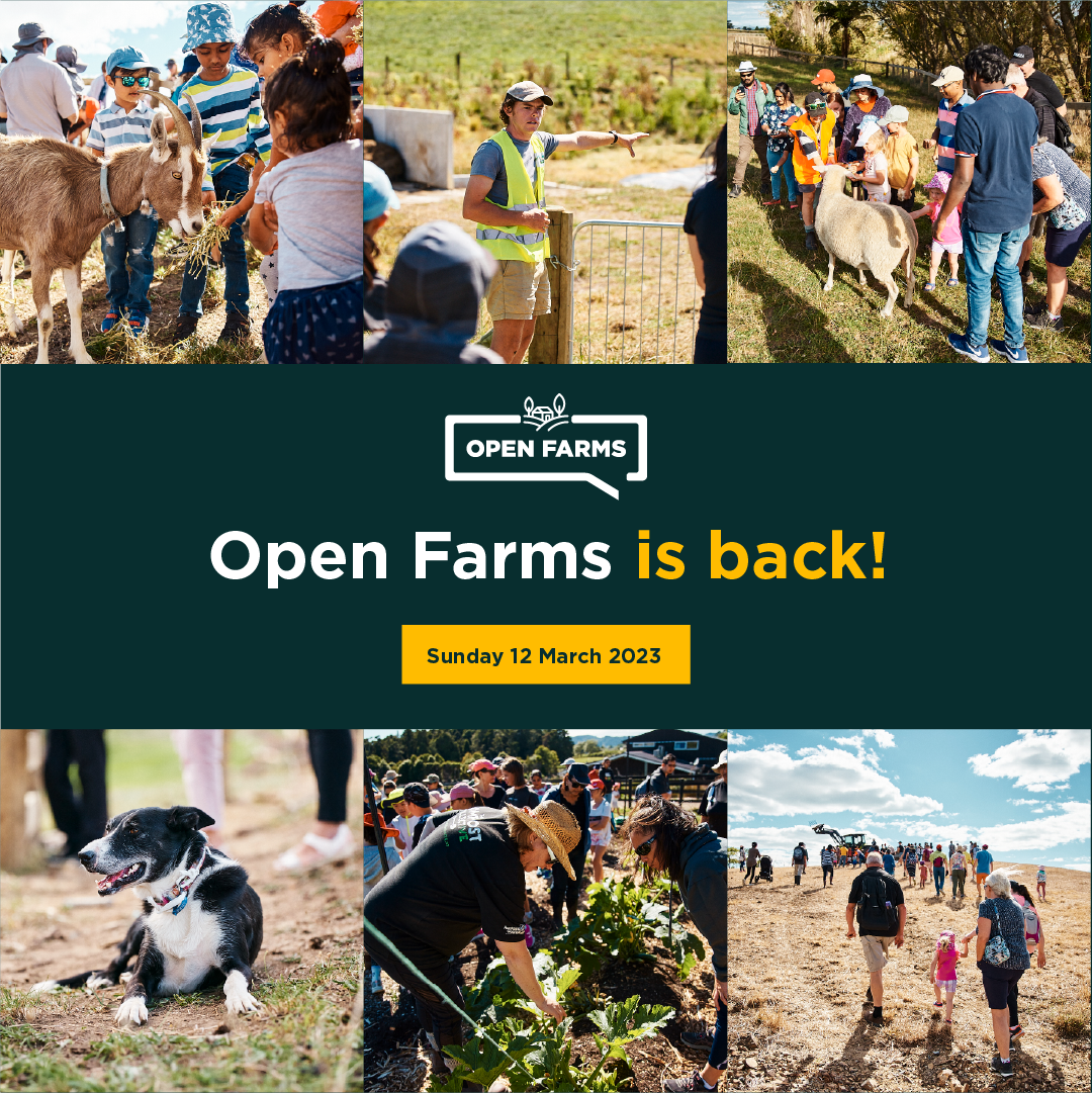 We're Back_Instagram Post_Open Farms.png