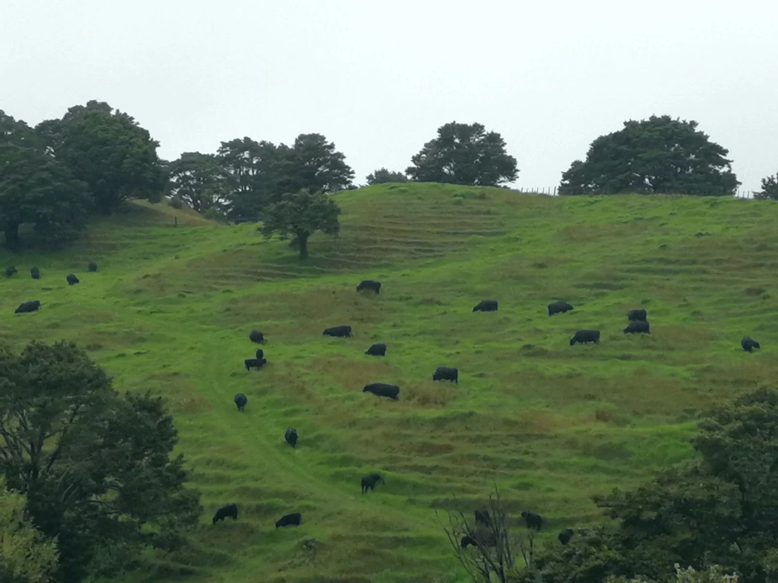 Tradition vs transformation: changing the family farm