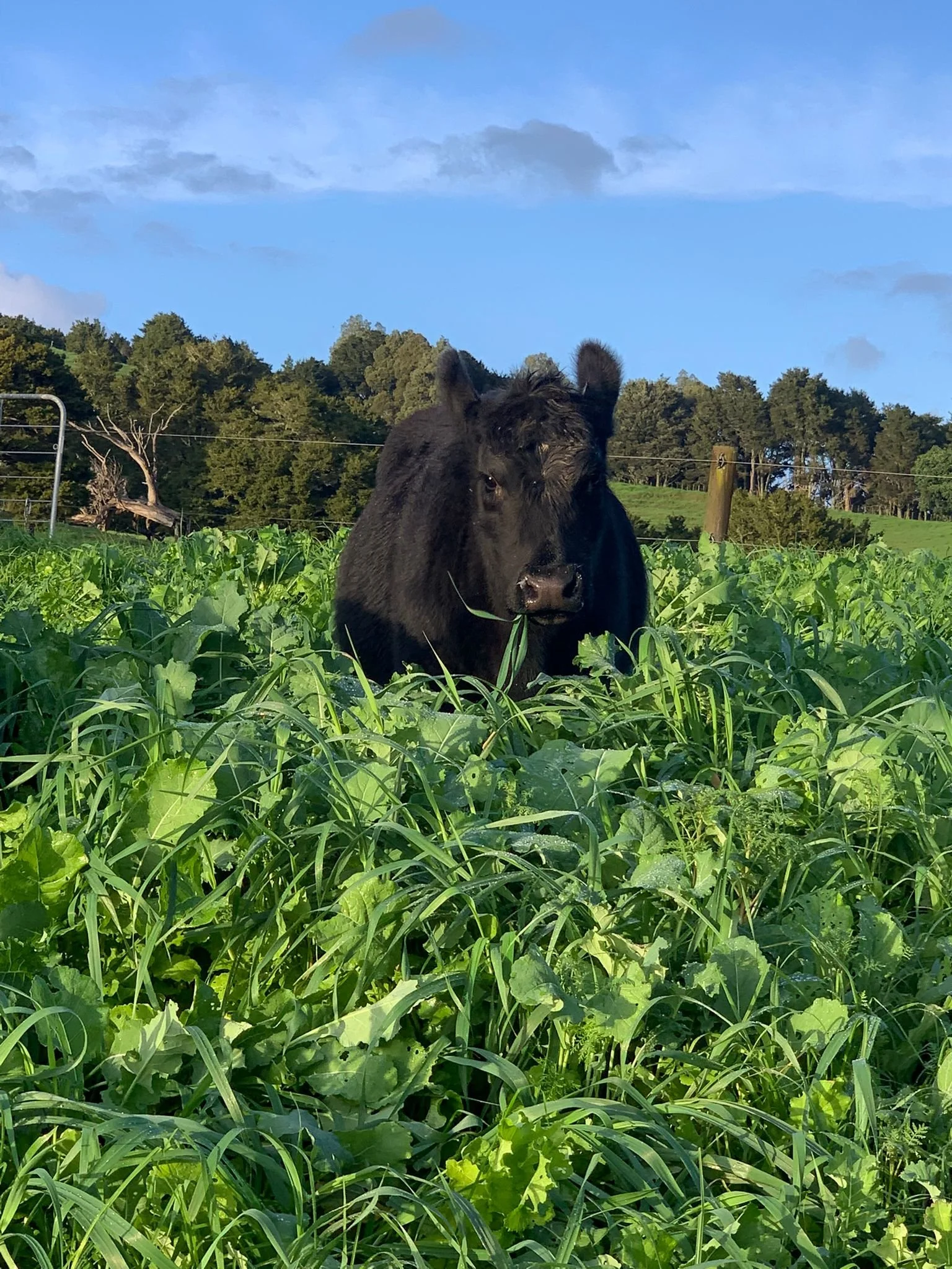 The moat around our family farming business
