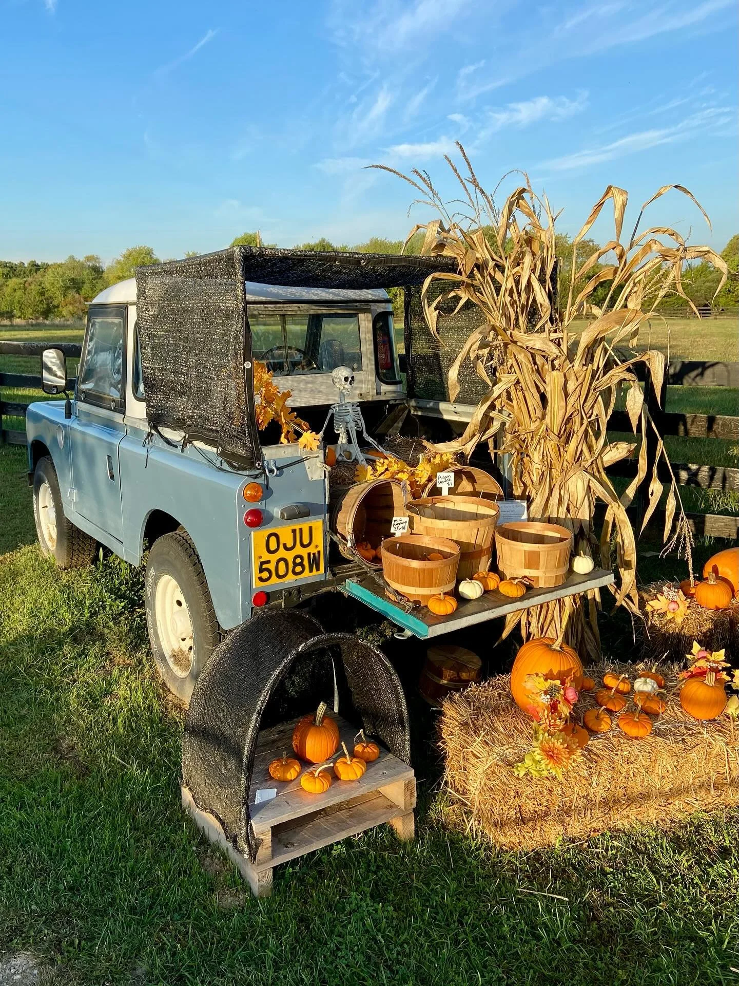 Happy Fall Friday.. our favorite time of year on @dalriadafarm  #fall #farm #autumn #pumpkin #landrover #serieslandrover #vintage #morning #friday #best4x4xfar #farmlife #skeleton #spooky #halloweeniscoming #kentucky
