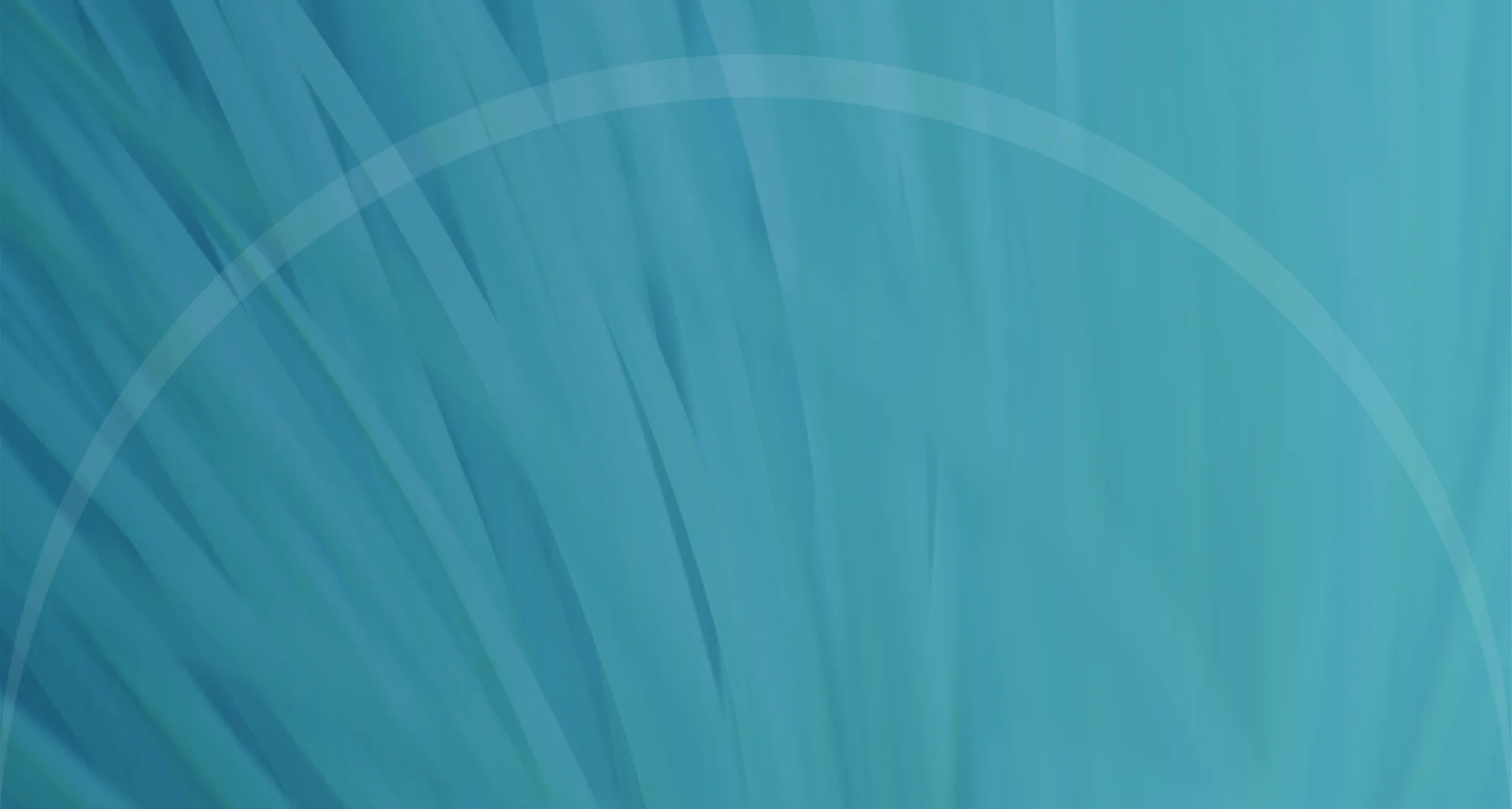 banner-background01.jpg