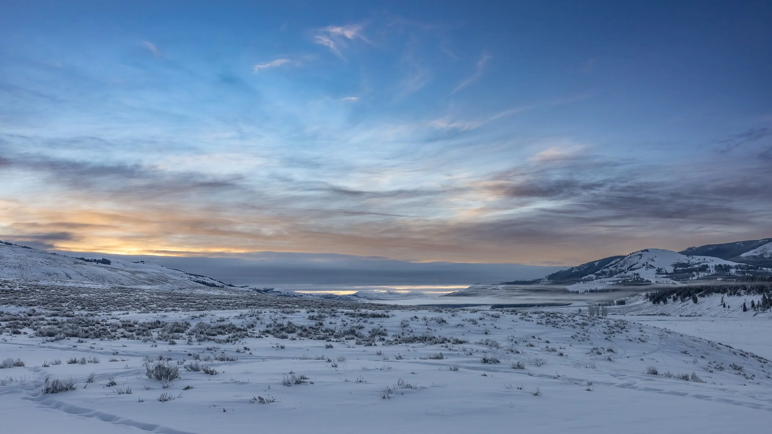 20220122-3Q0A8596-Edit-2.jpg