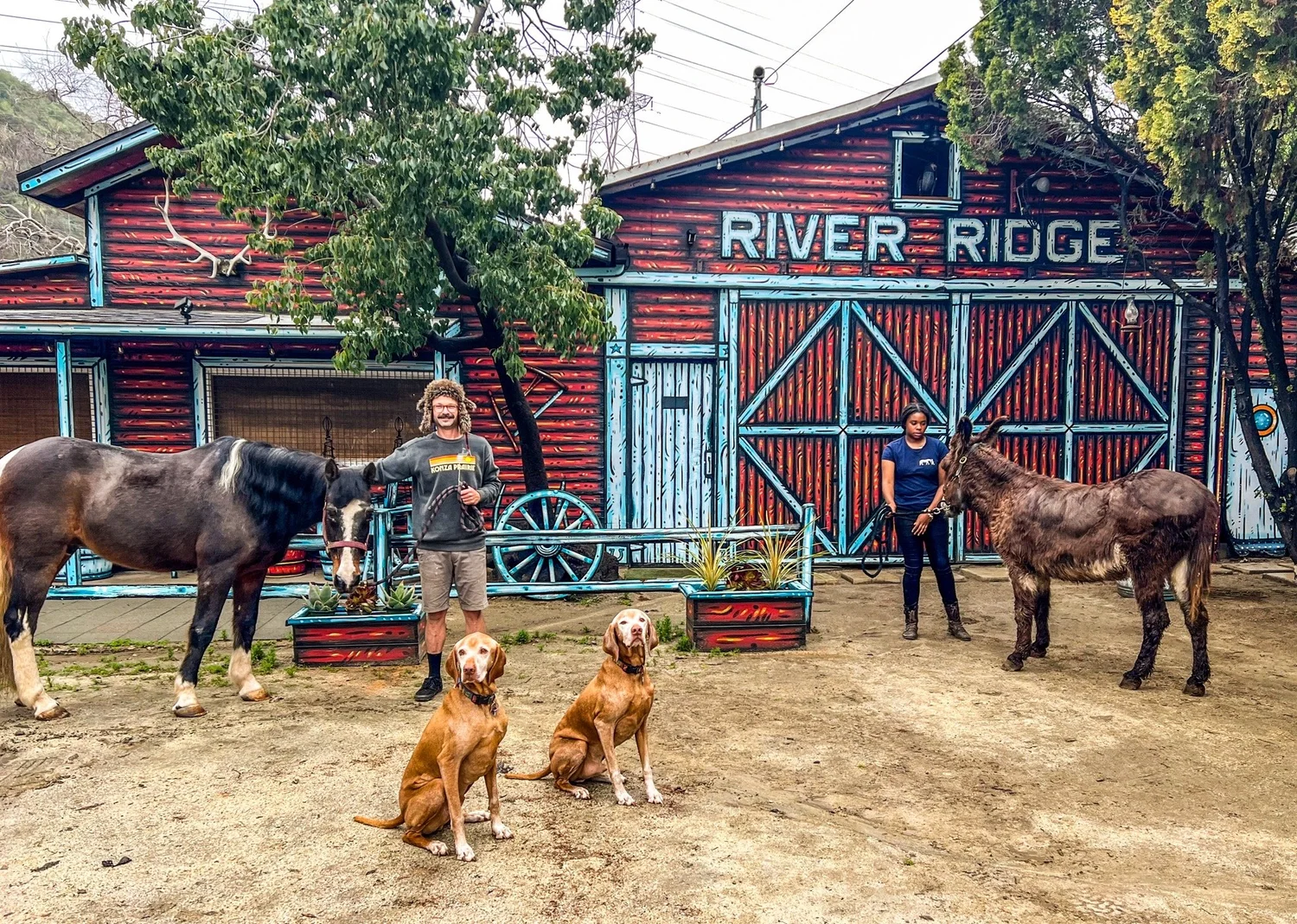 Terry Ridge Stables RIVER RIDGE CLUB AND STABLES