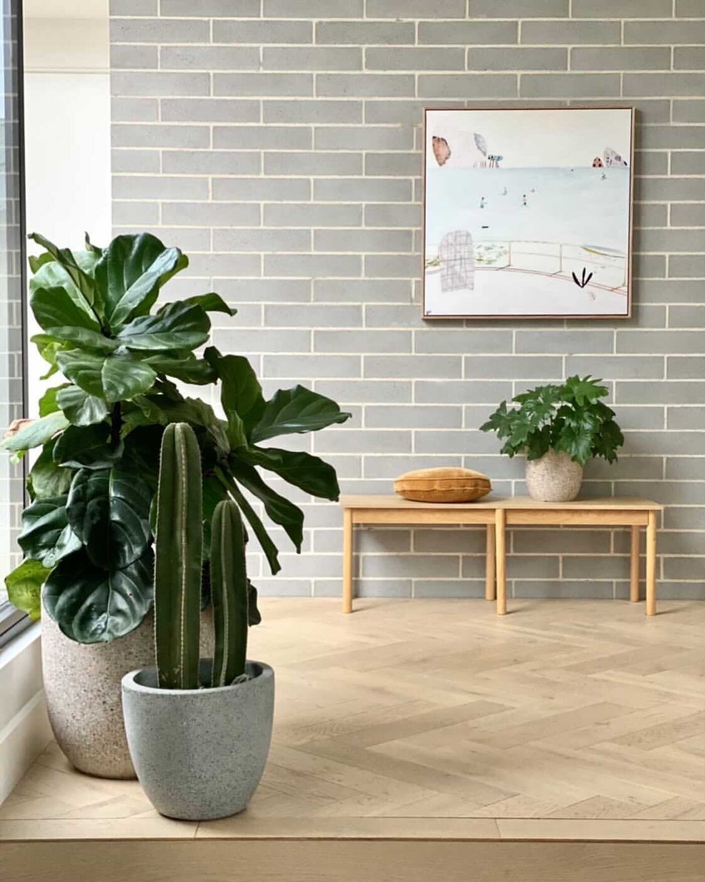 Minimalism and plant love at it's all time best in the one and only home of @maddison.bloom⁠
⁠
Love her.⁠
Happiness Has Good Consequences / link in bio to shop x