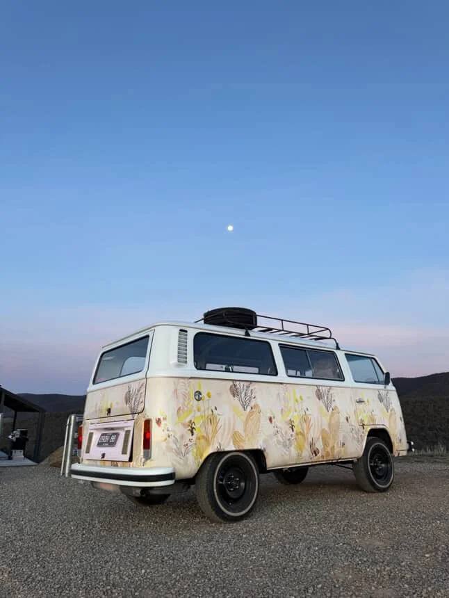 combi pearl 2.JPG