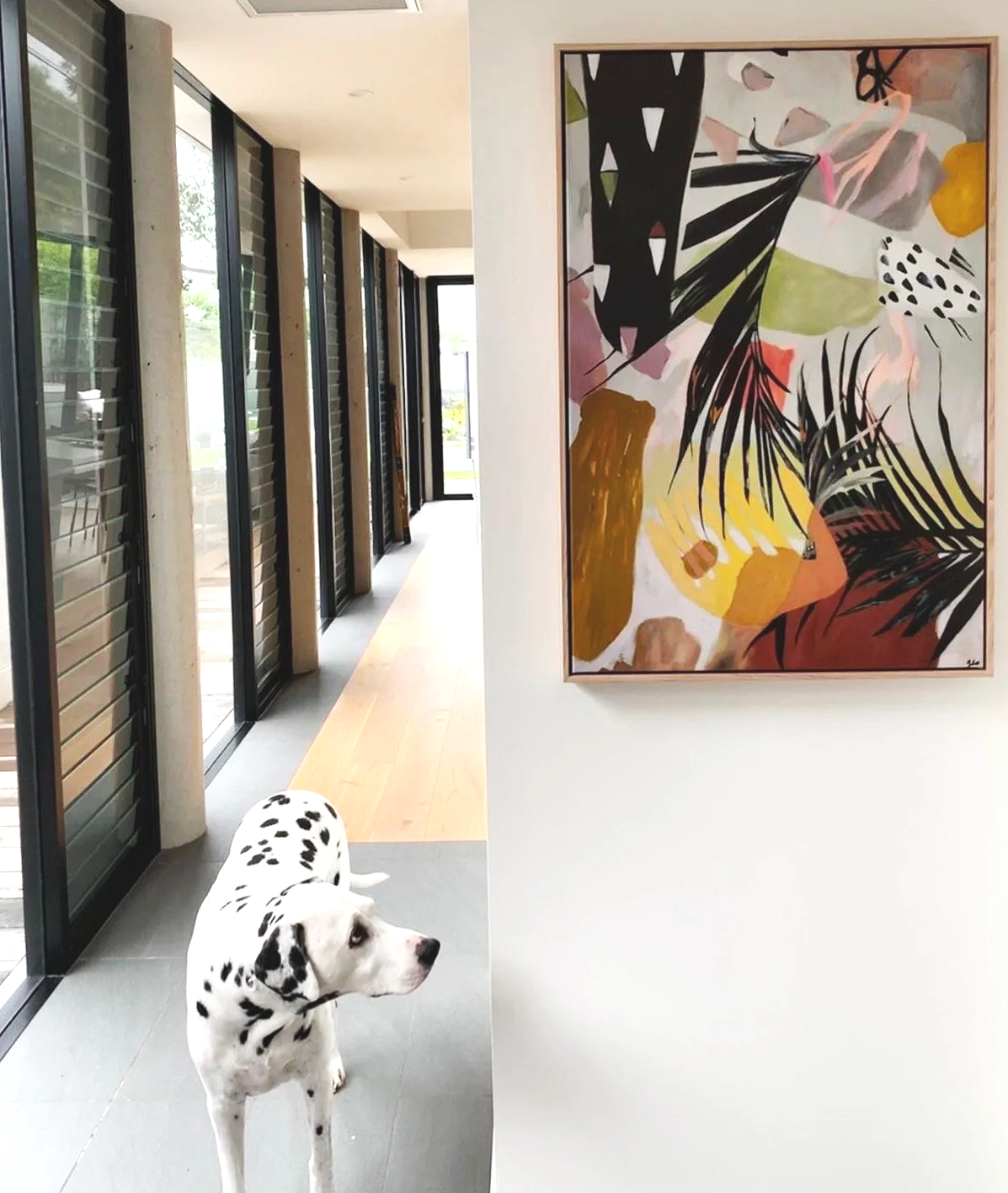 kinda+california+dalmation.png