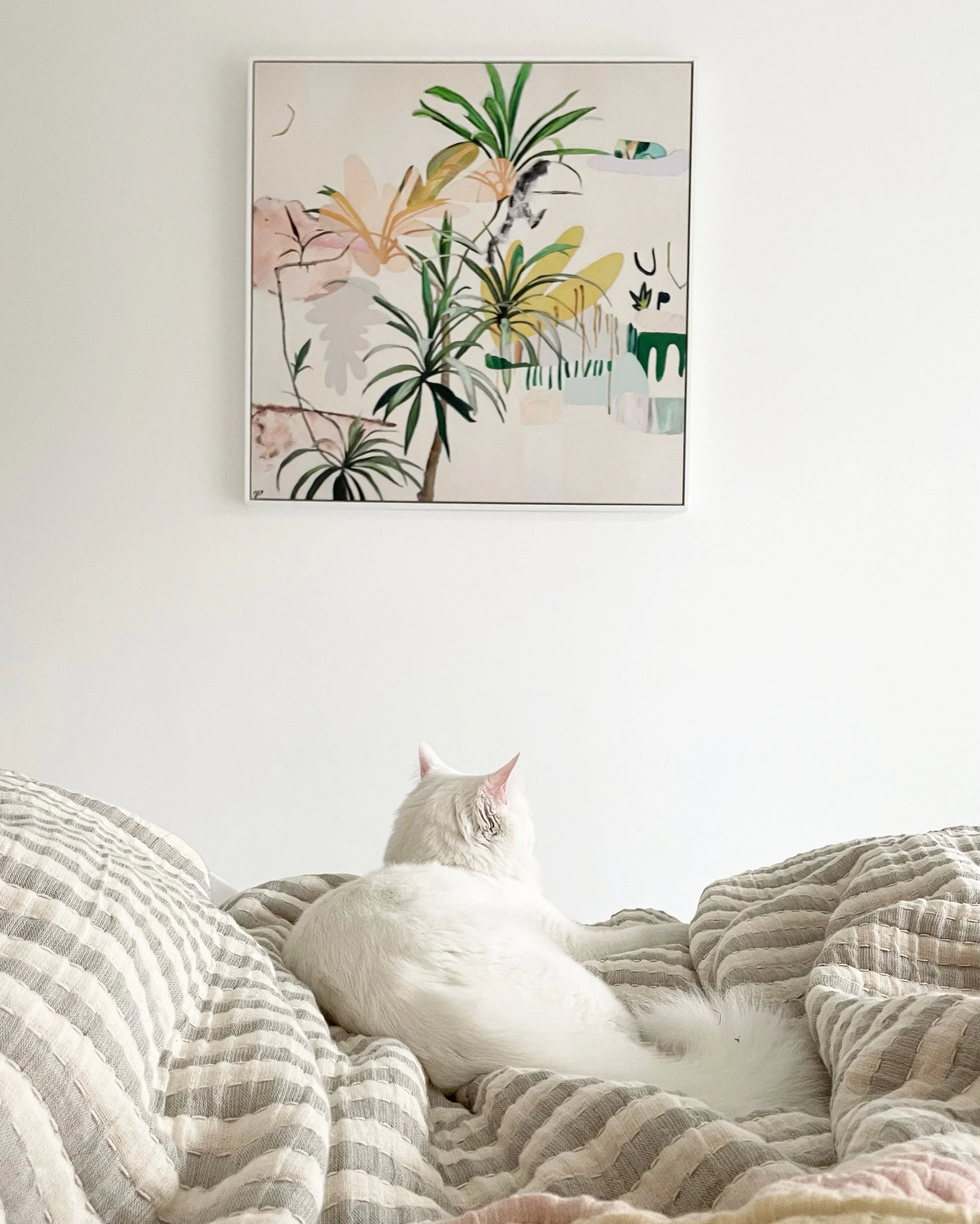 go your own way white cat bed.JPG