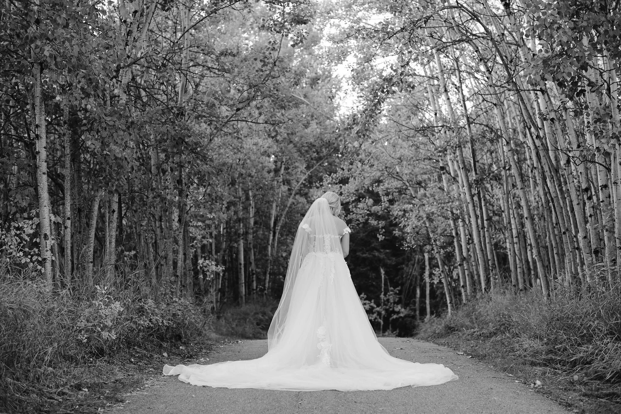 J&N-Wedding[RedBloomPhotography]-846.JPG