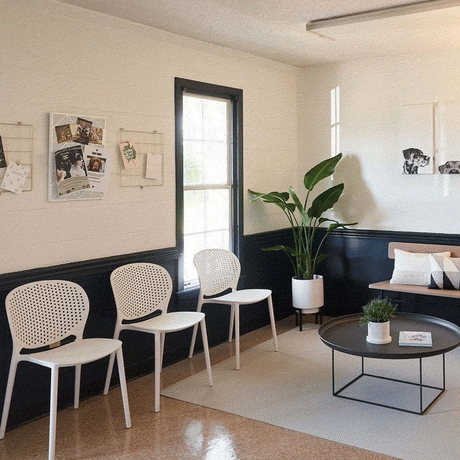 lakeside-animal-clinic.gif