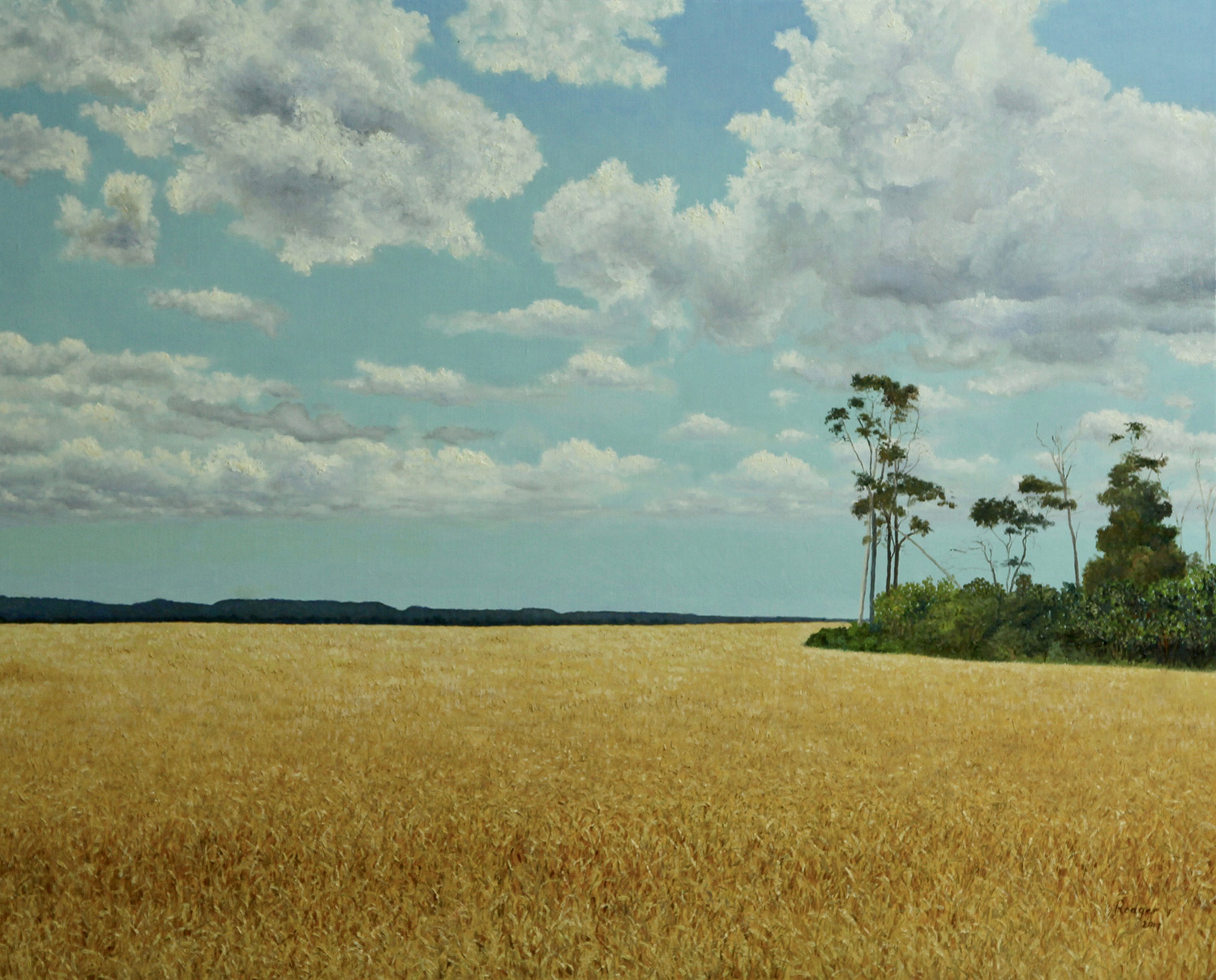 Wheat Fields of the Western Downs