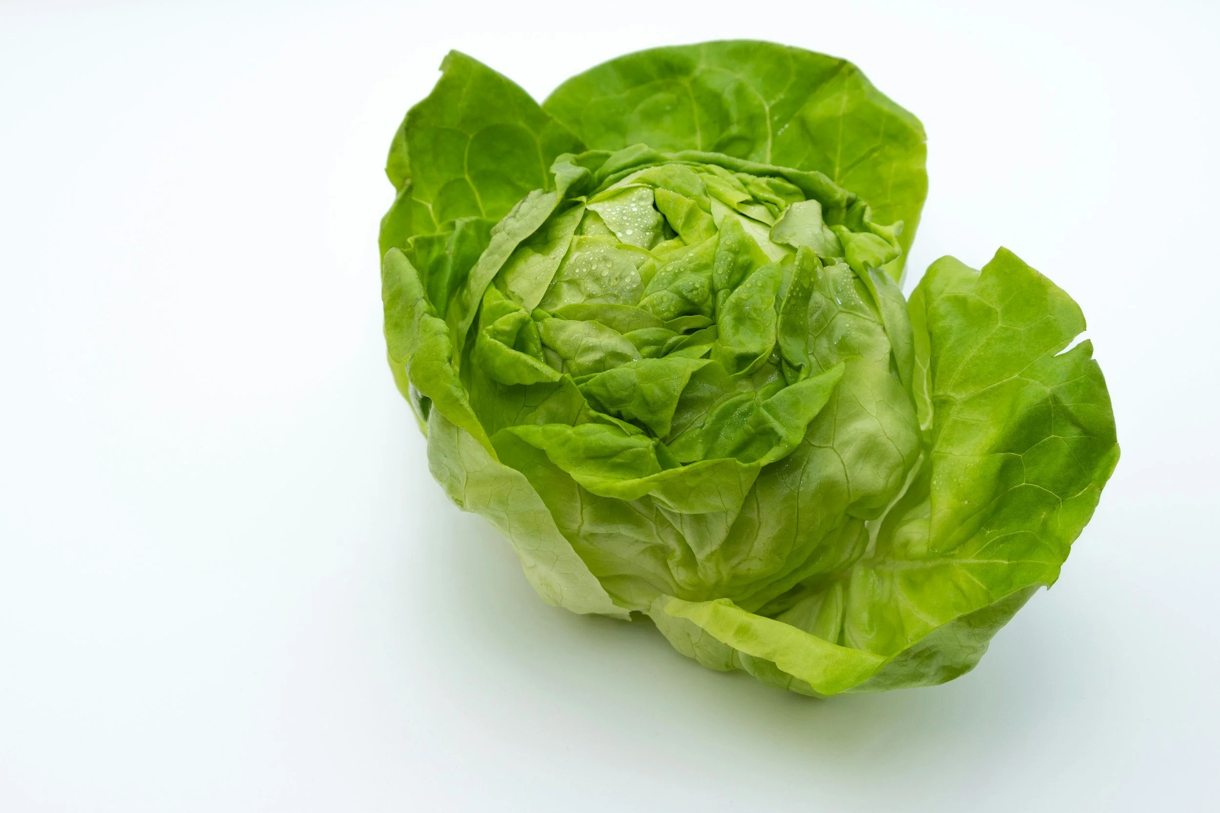 Cyclospora Illnesses: Symptoms and How to Identify the Recalled Products