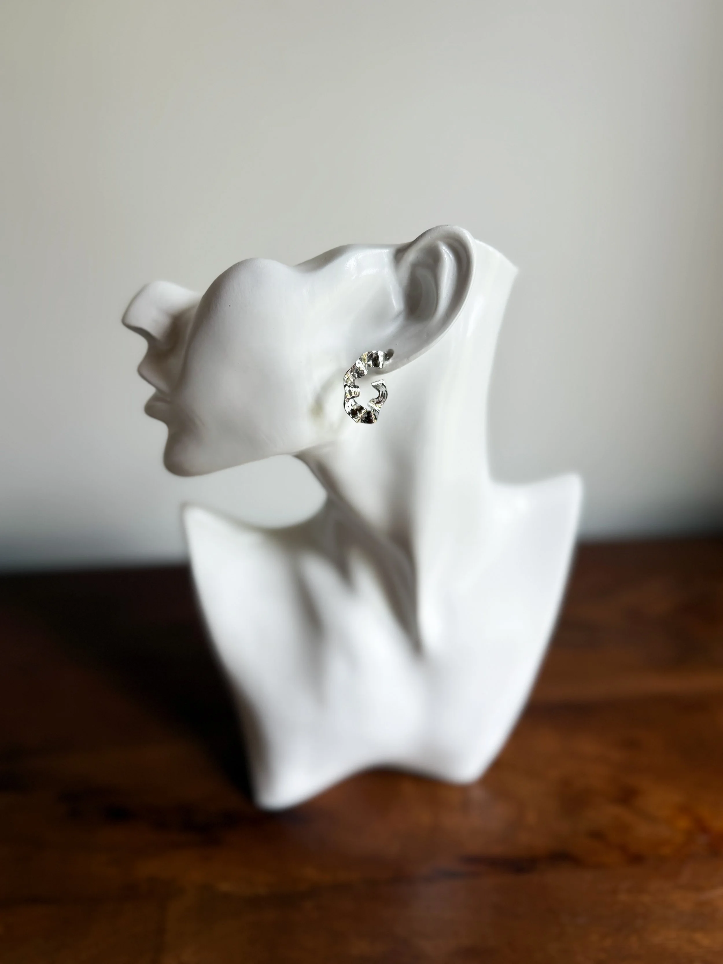 Curvy Silver Still.JPG