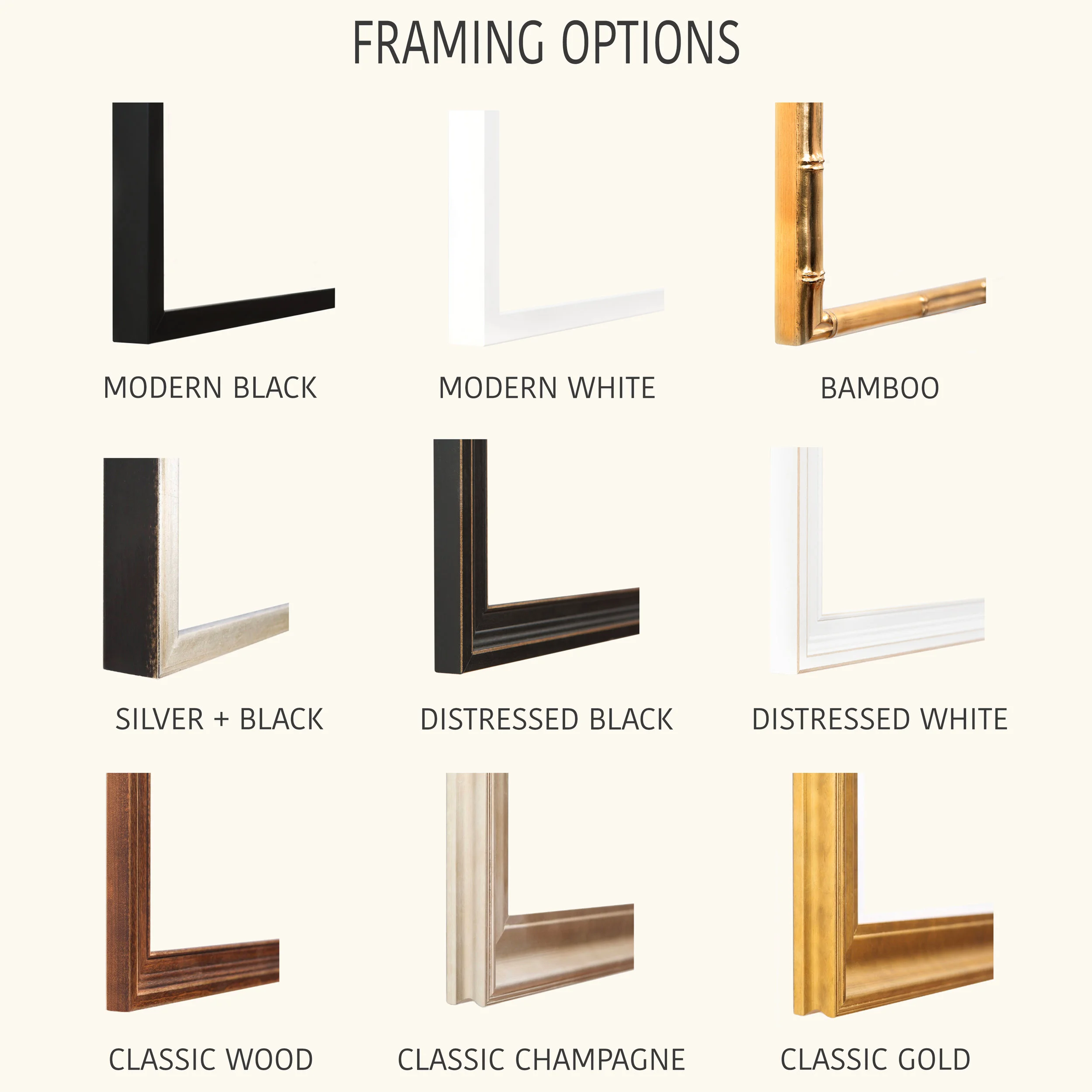 1 Framing Options.jpg