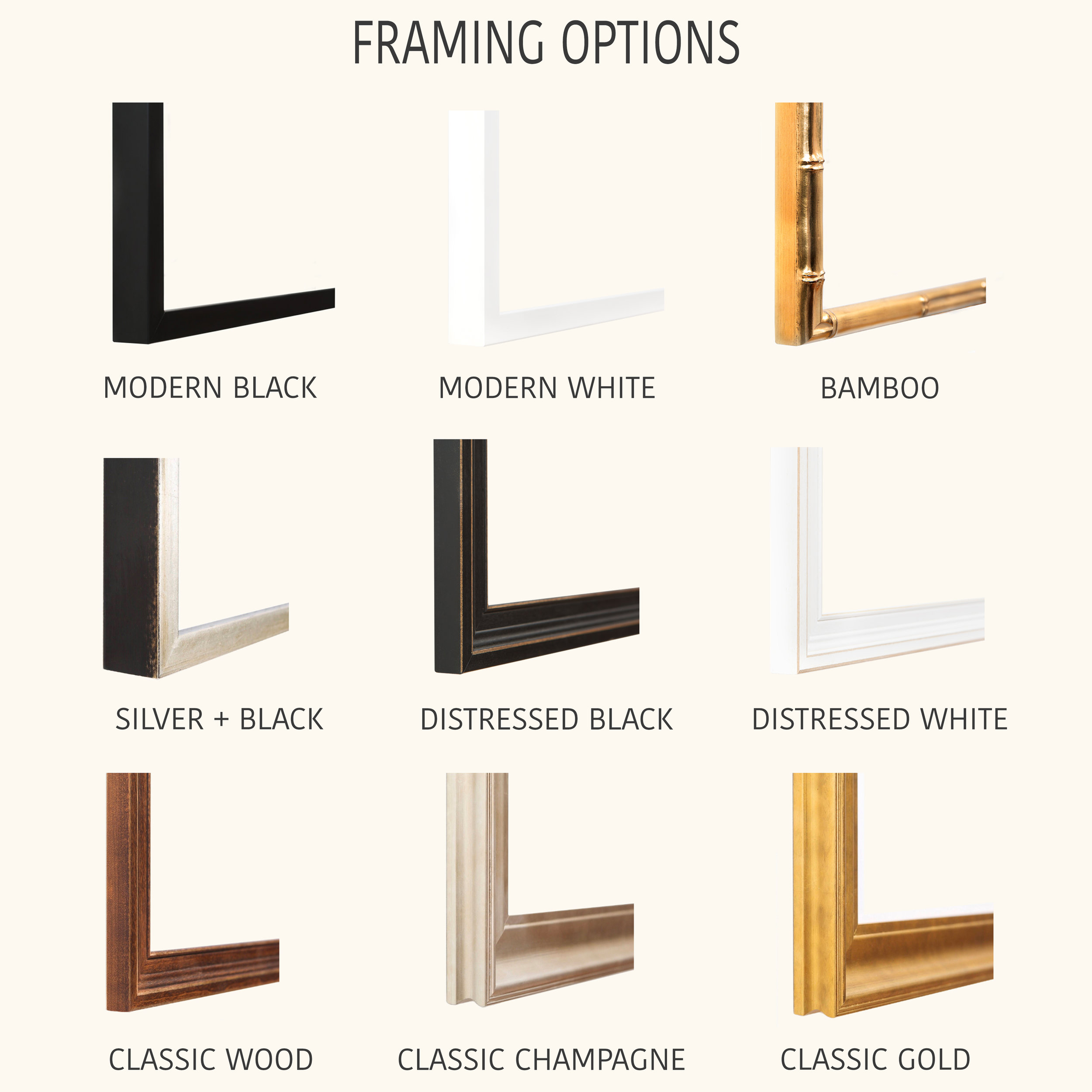 1 Framing Options.jpg