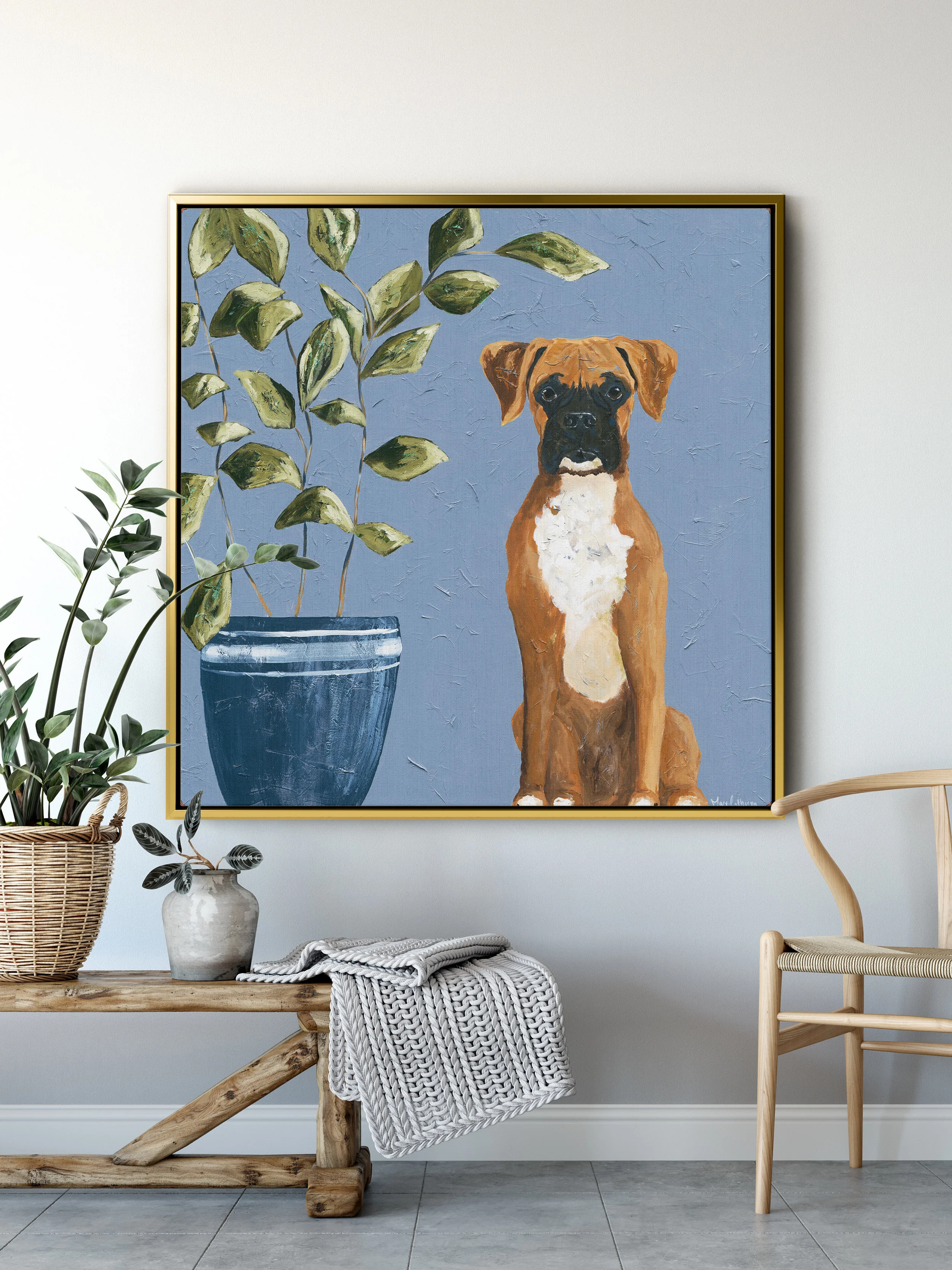 boxer puppies