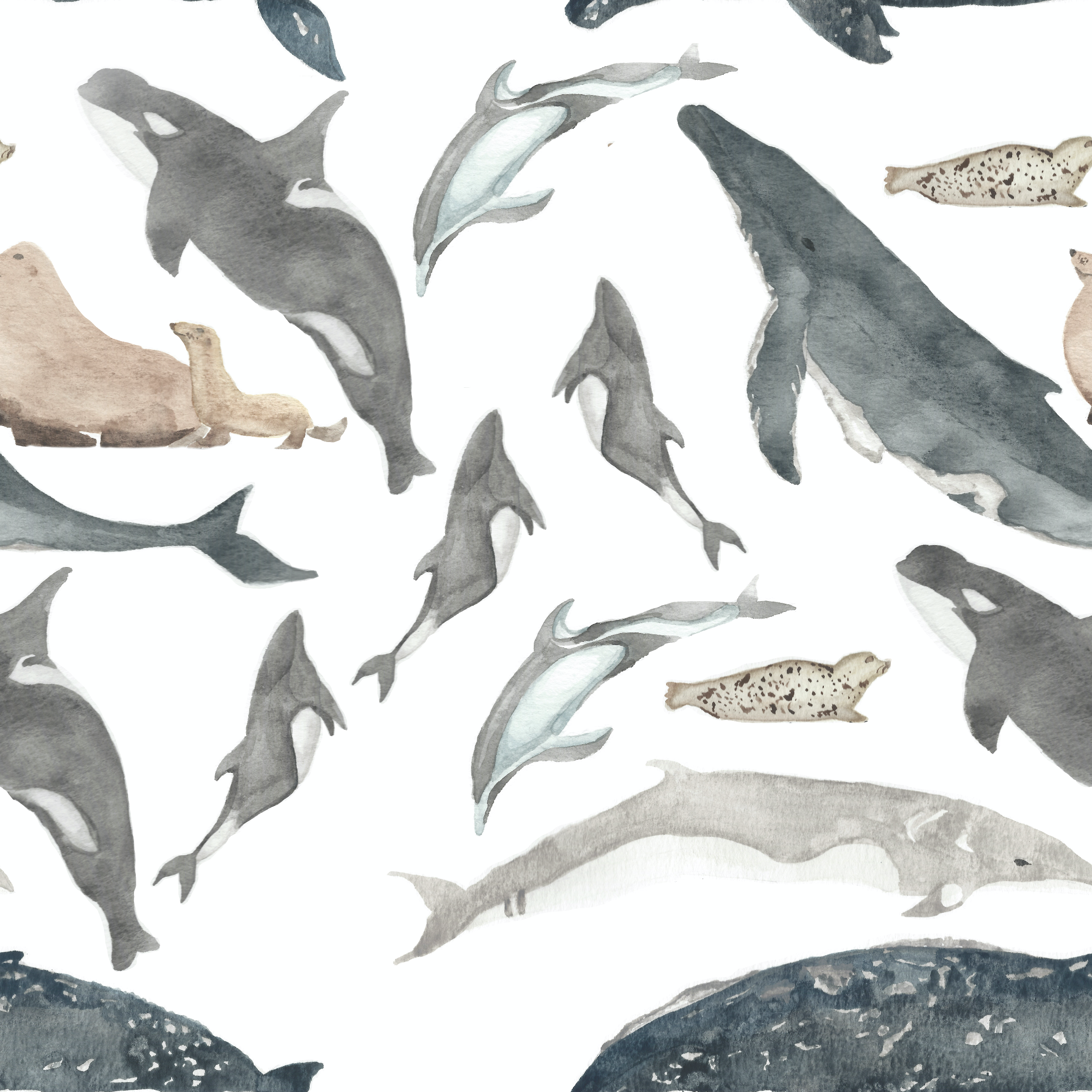 Screen Shot 2019-05-30 at 11.15.25 AM.png