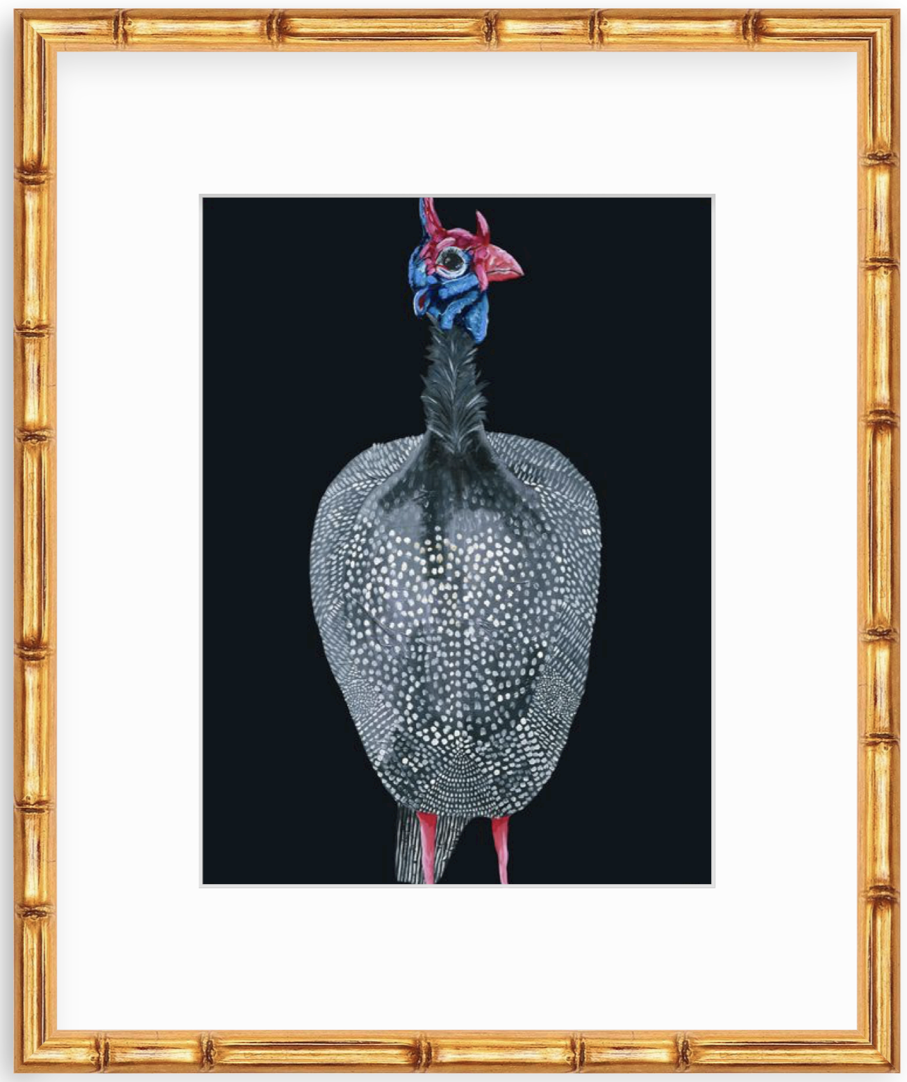 guinea fowl breeder (Copy)