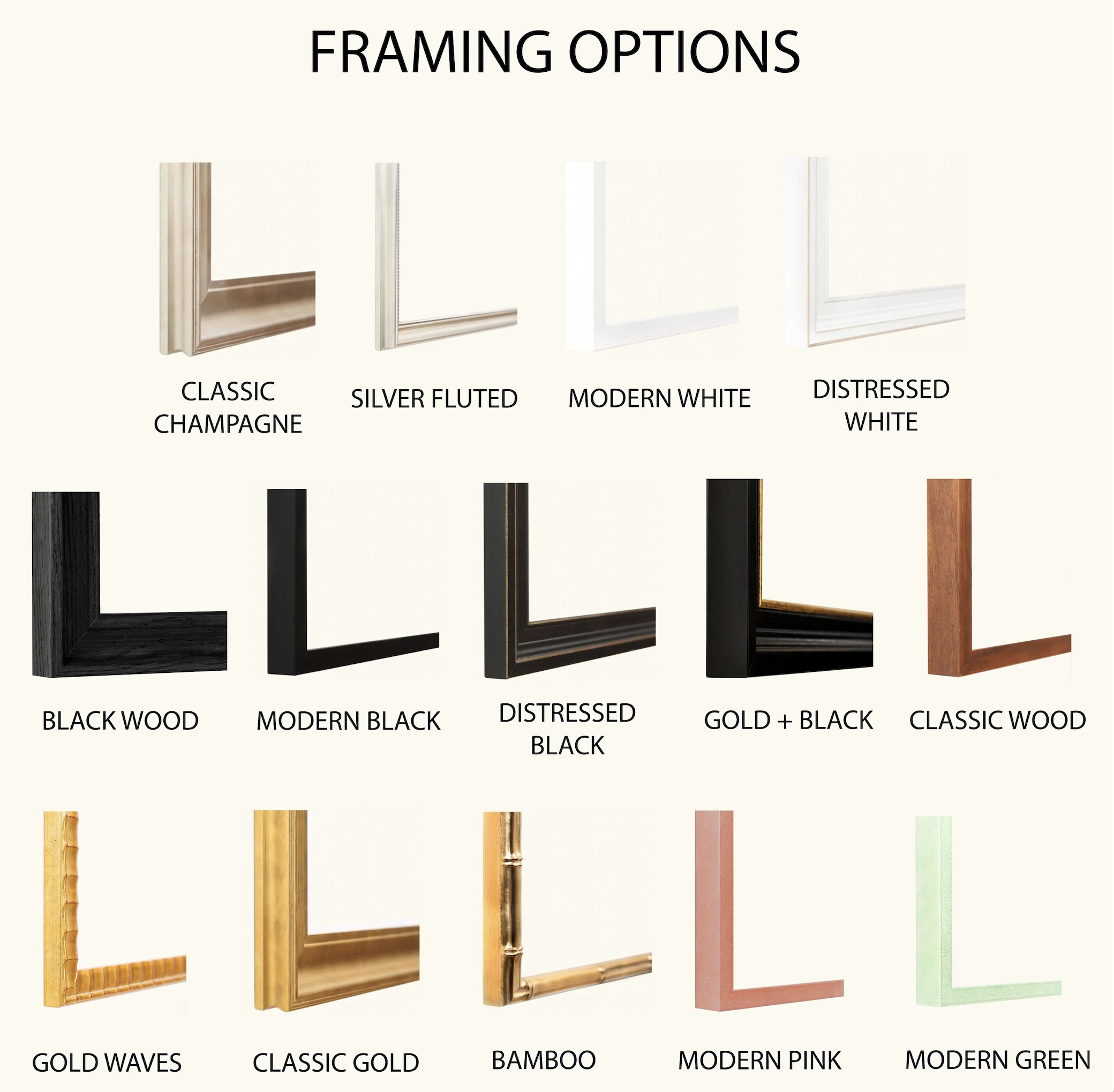 Paper Print Frame Options.png