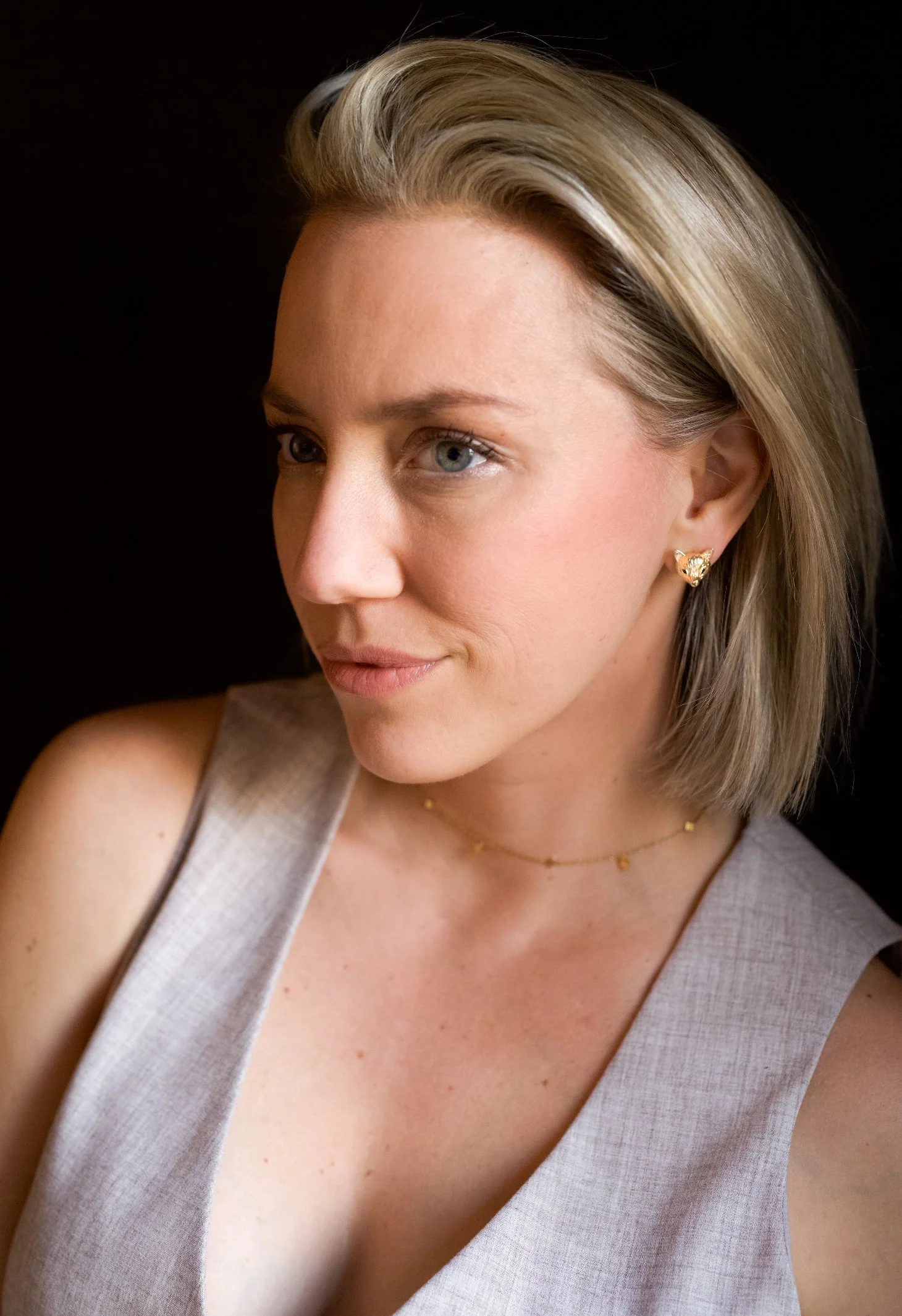 Fox at the Fence.JPG