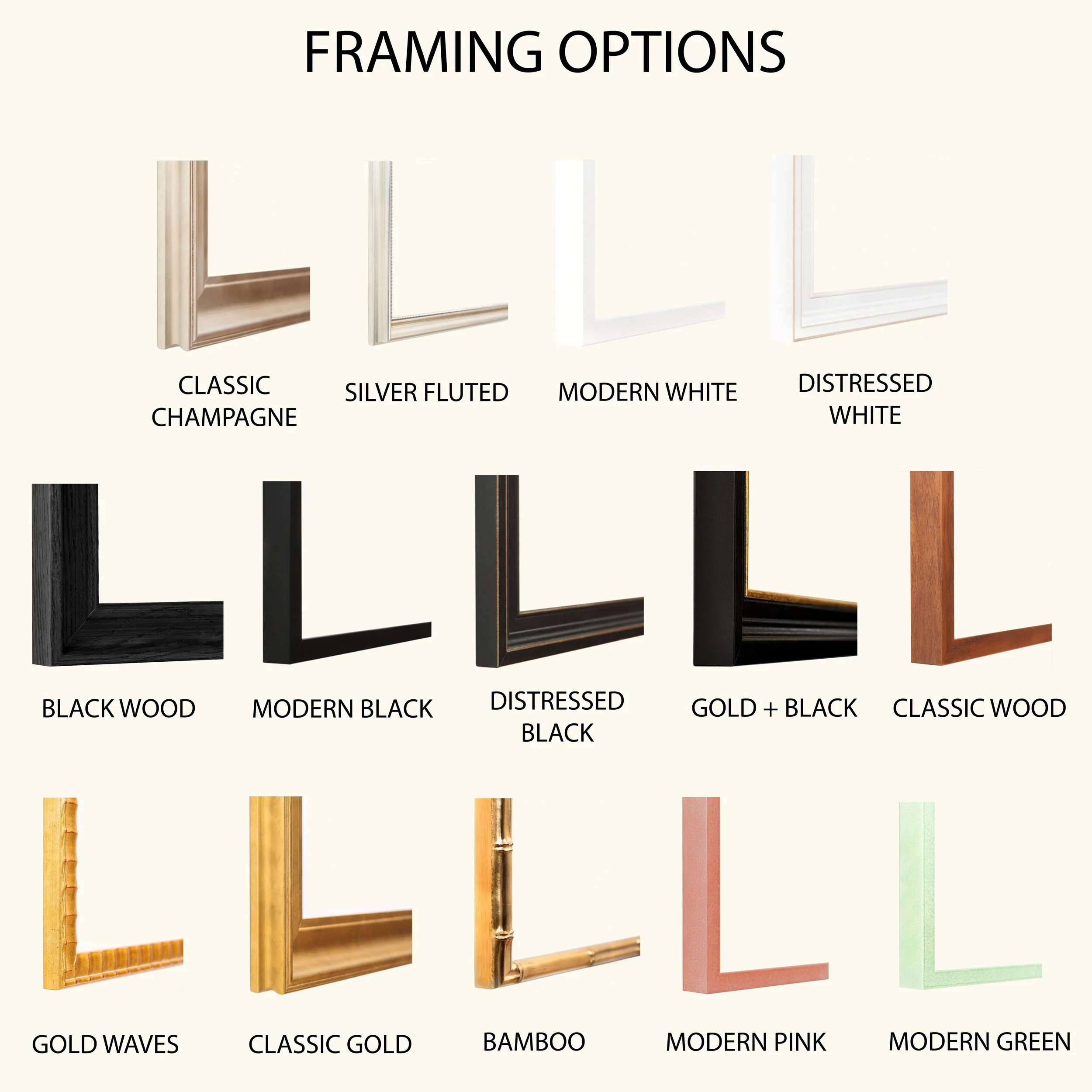 PRINT-FRAME-OPTIONS.jpg (Copy)