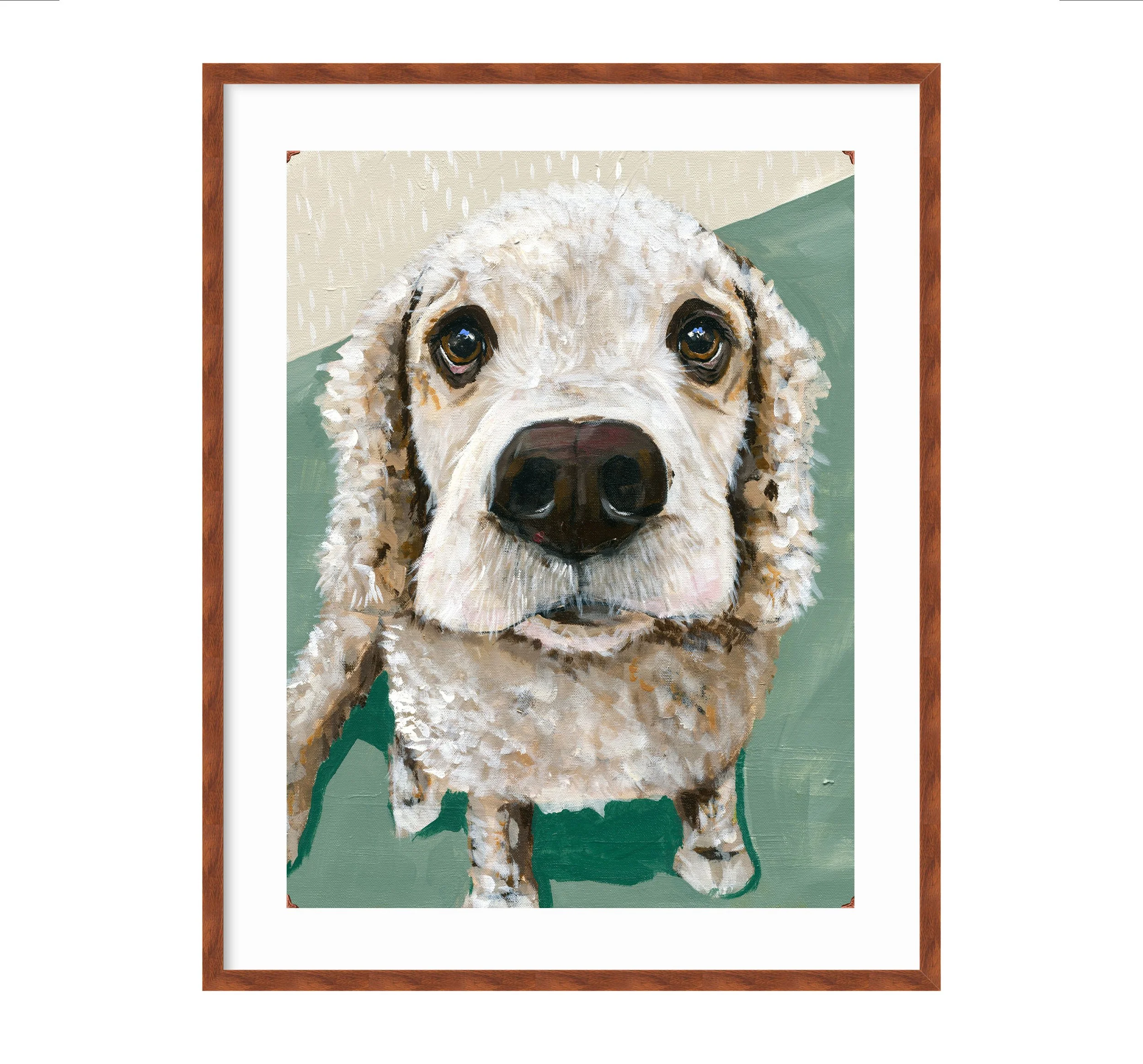 puppy-eyes1.jpg