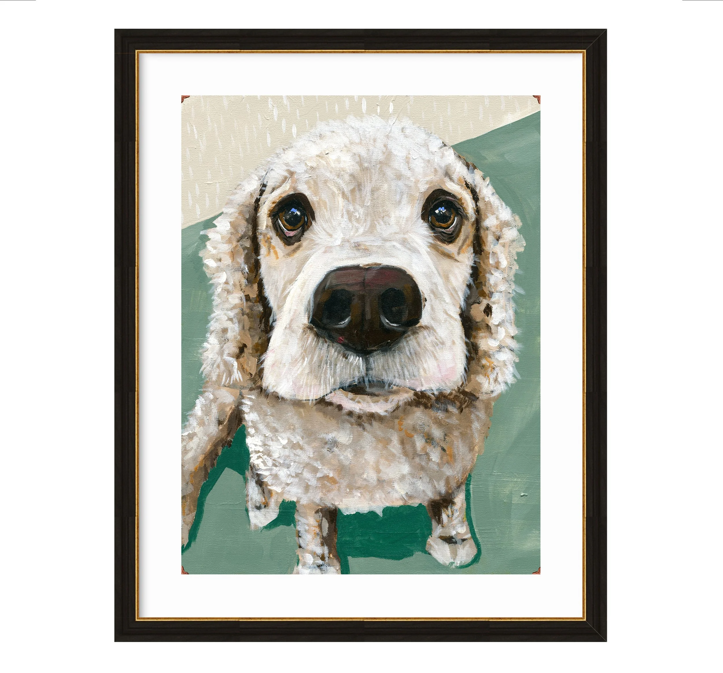 puppy-eyes3.jpg