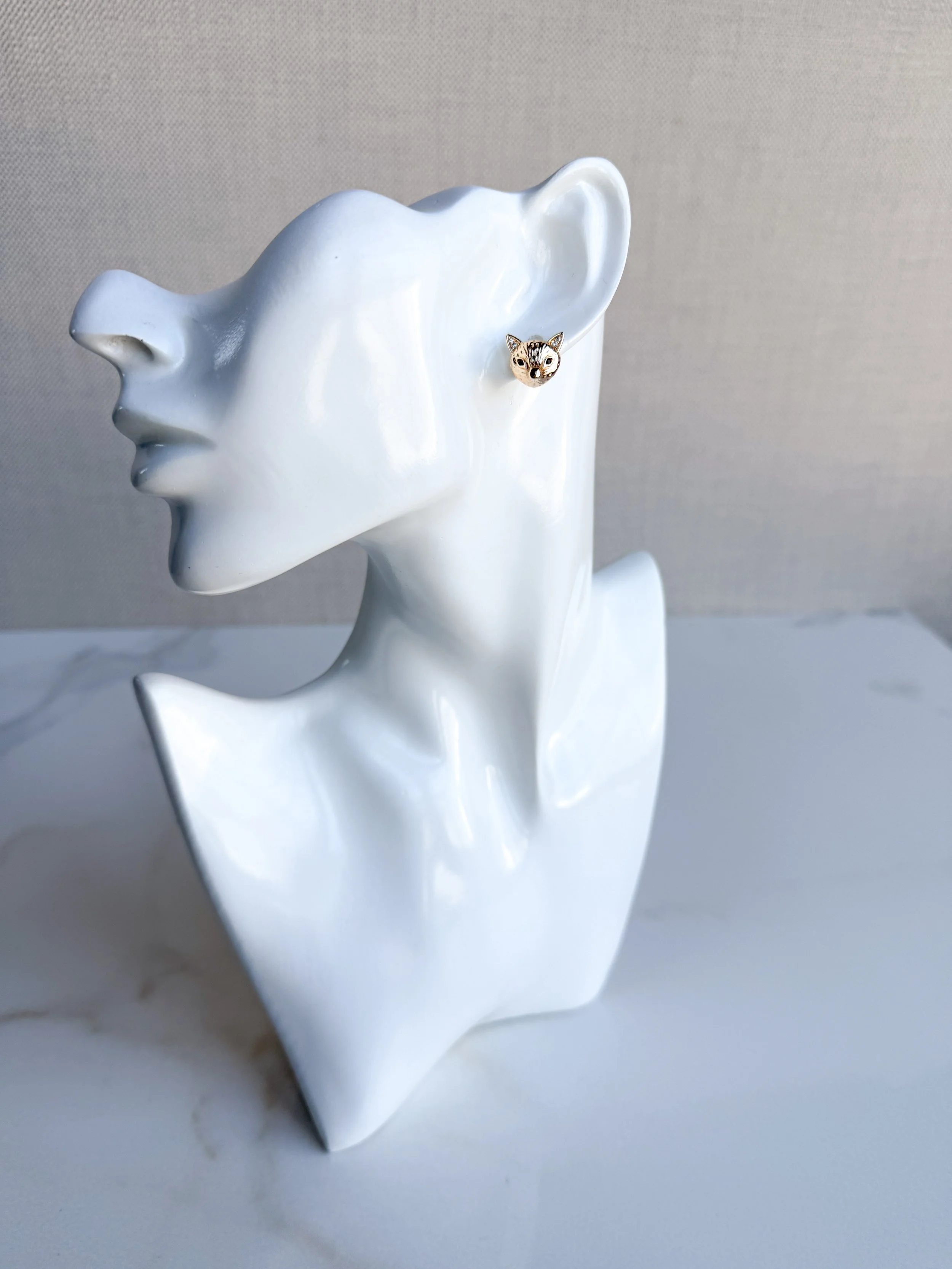 fox at the fence.JPG