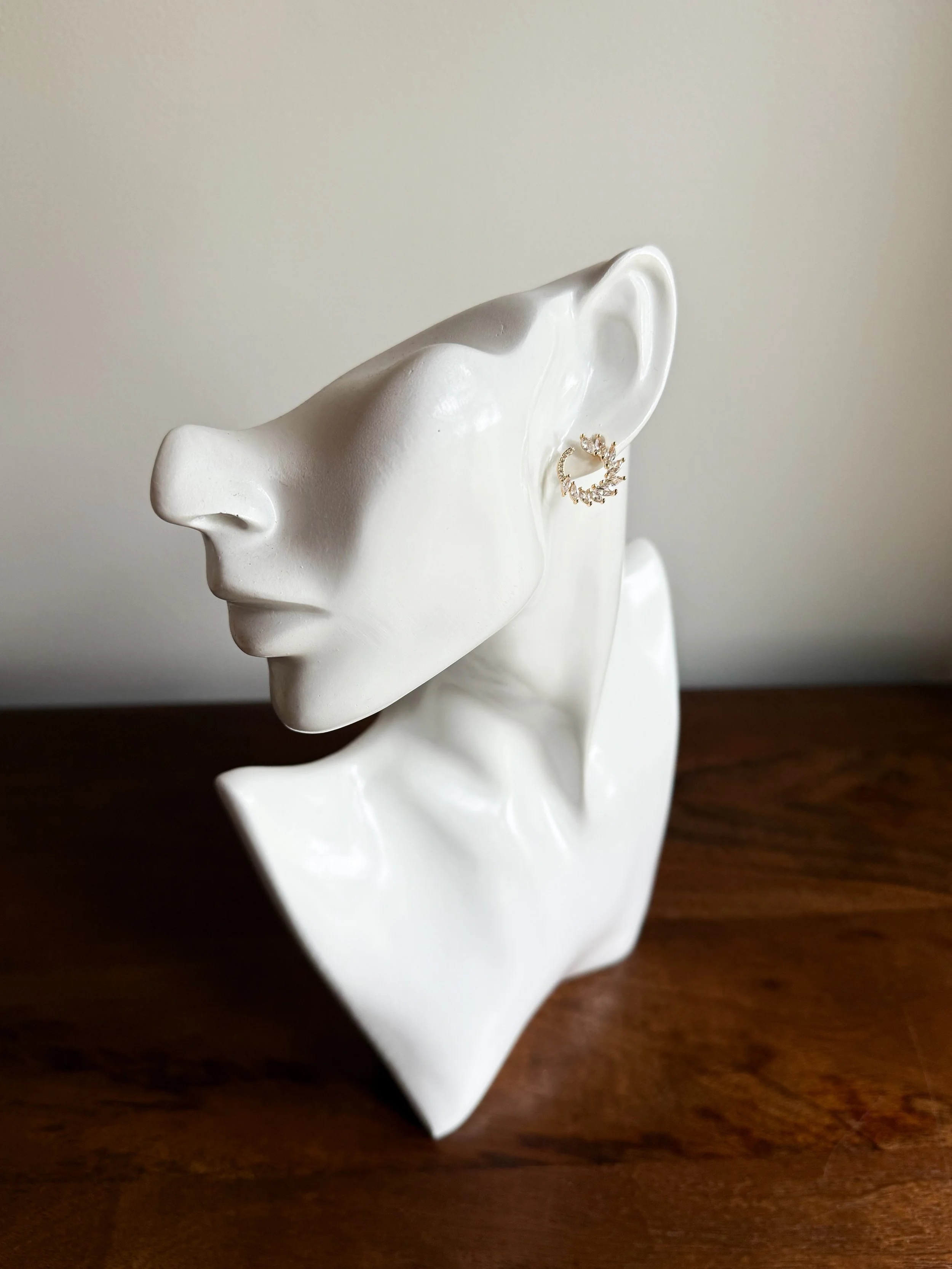 The Steady Foot Still.JPG