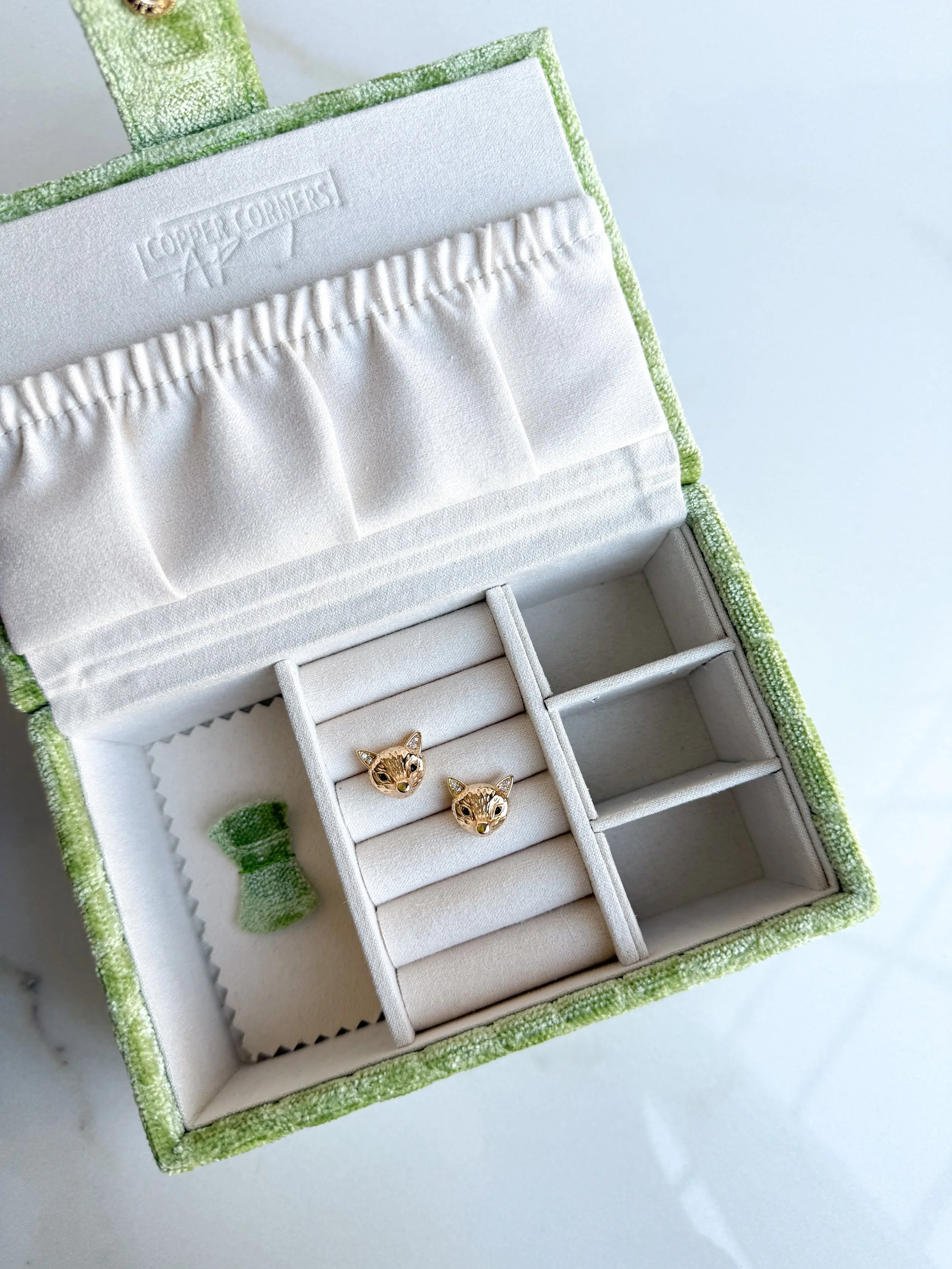 fox at the fence 2.JPG