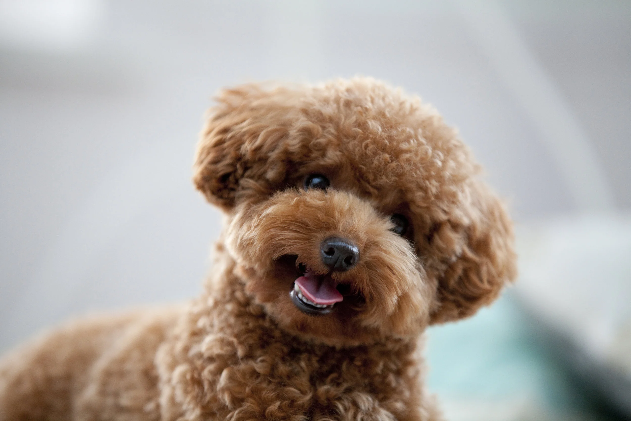 iStock-674293178.jpg