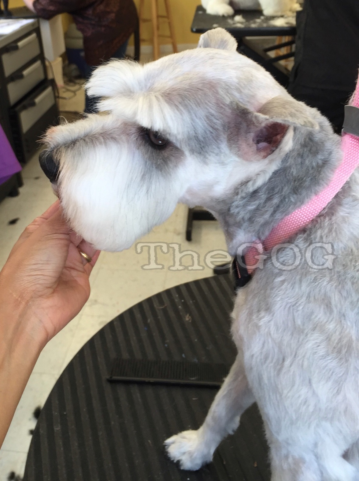 1517016850927 2.JPEG