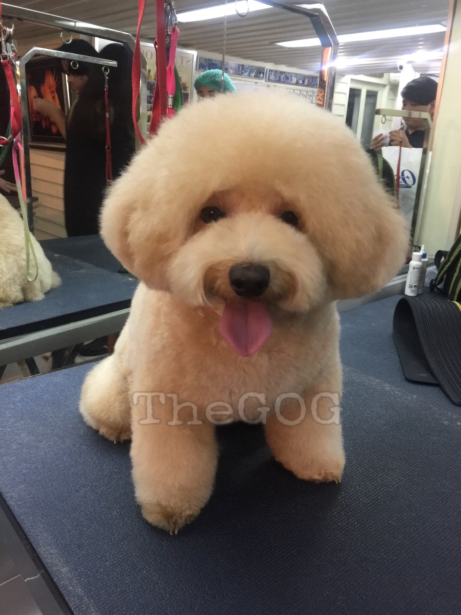 1517017237963 2.JPEG