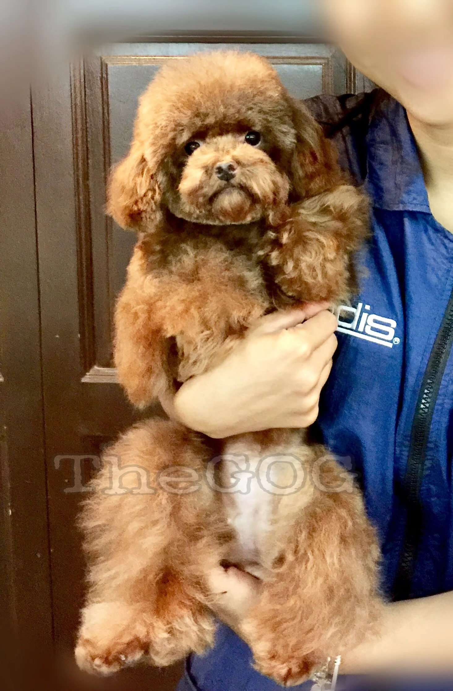 1517019332666 2.JPEG