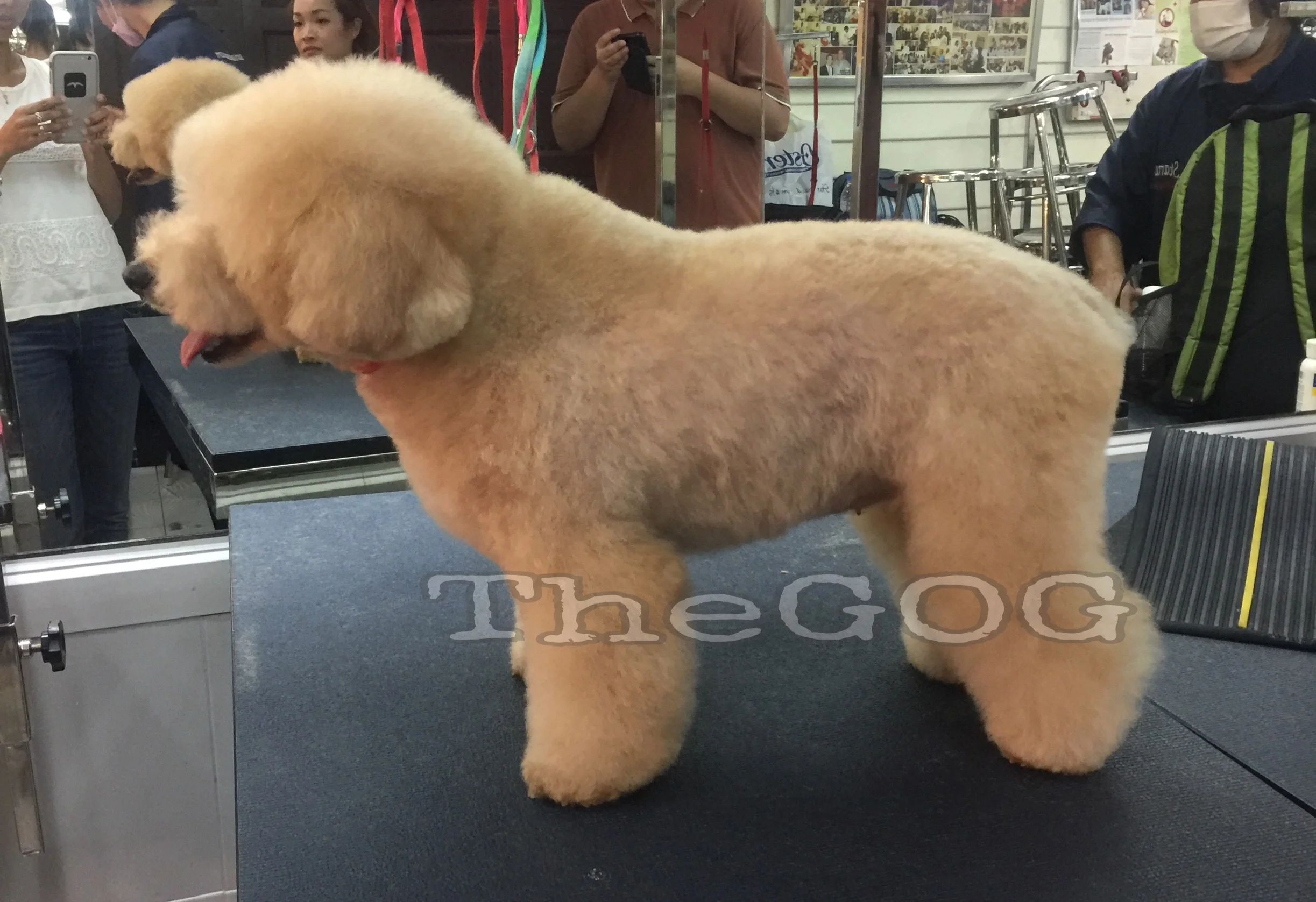 1517019471611 2.JPEG