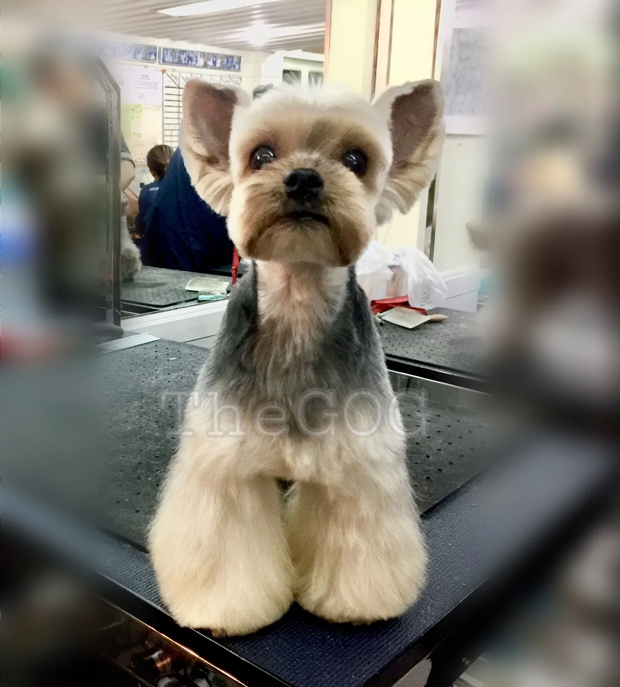 1517021374200 copy.JPEG