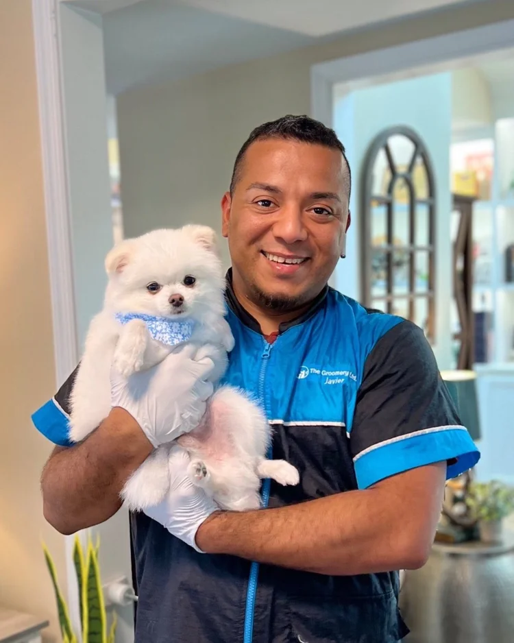 The Groomery Ltd. I Dog & Cat Pet grooming near me, Alexandria