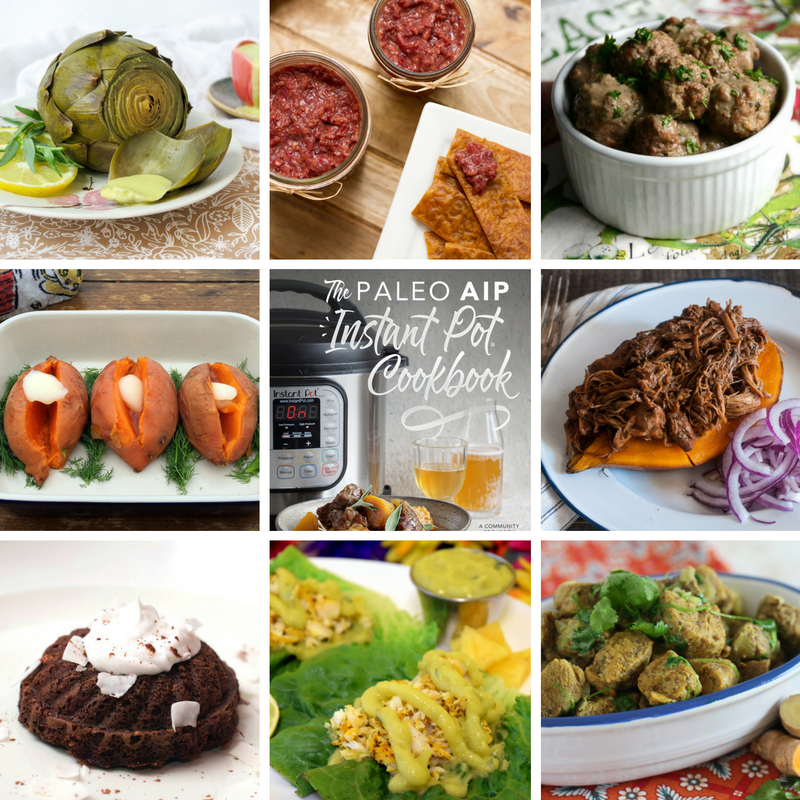 Ip Cook Book Paleo AIP Instant Pot Cookbook & Sneak Peak Recipe (Swedish Meatballs ...