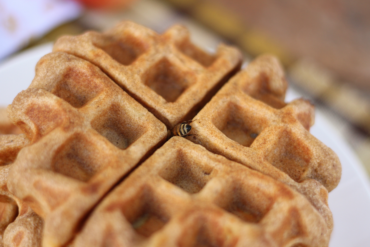 waffles-4.jpg