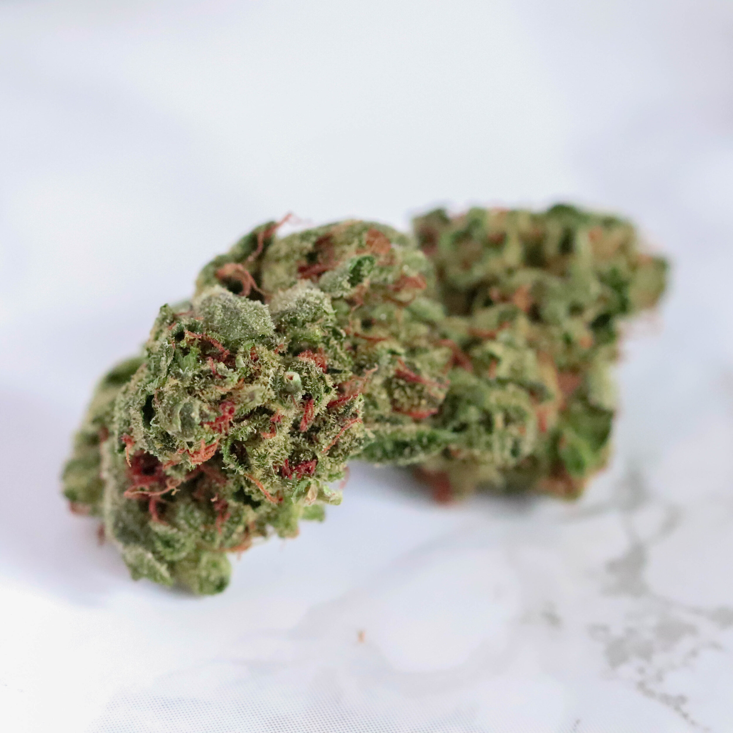 Curaleaf Cherry Pie Haze